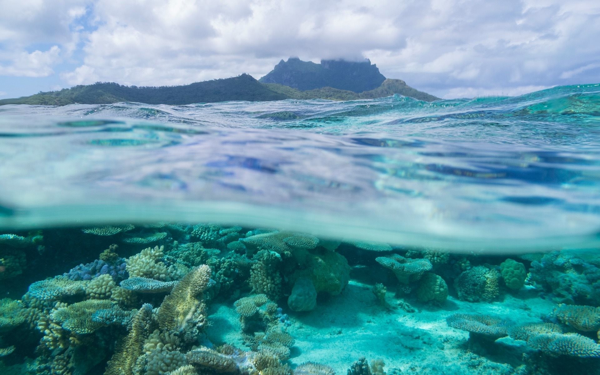 Bora Bora, Barriera corallina, Vista semisommersa, Coralli, 1920x1200, sfondo per PC