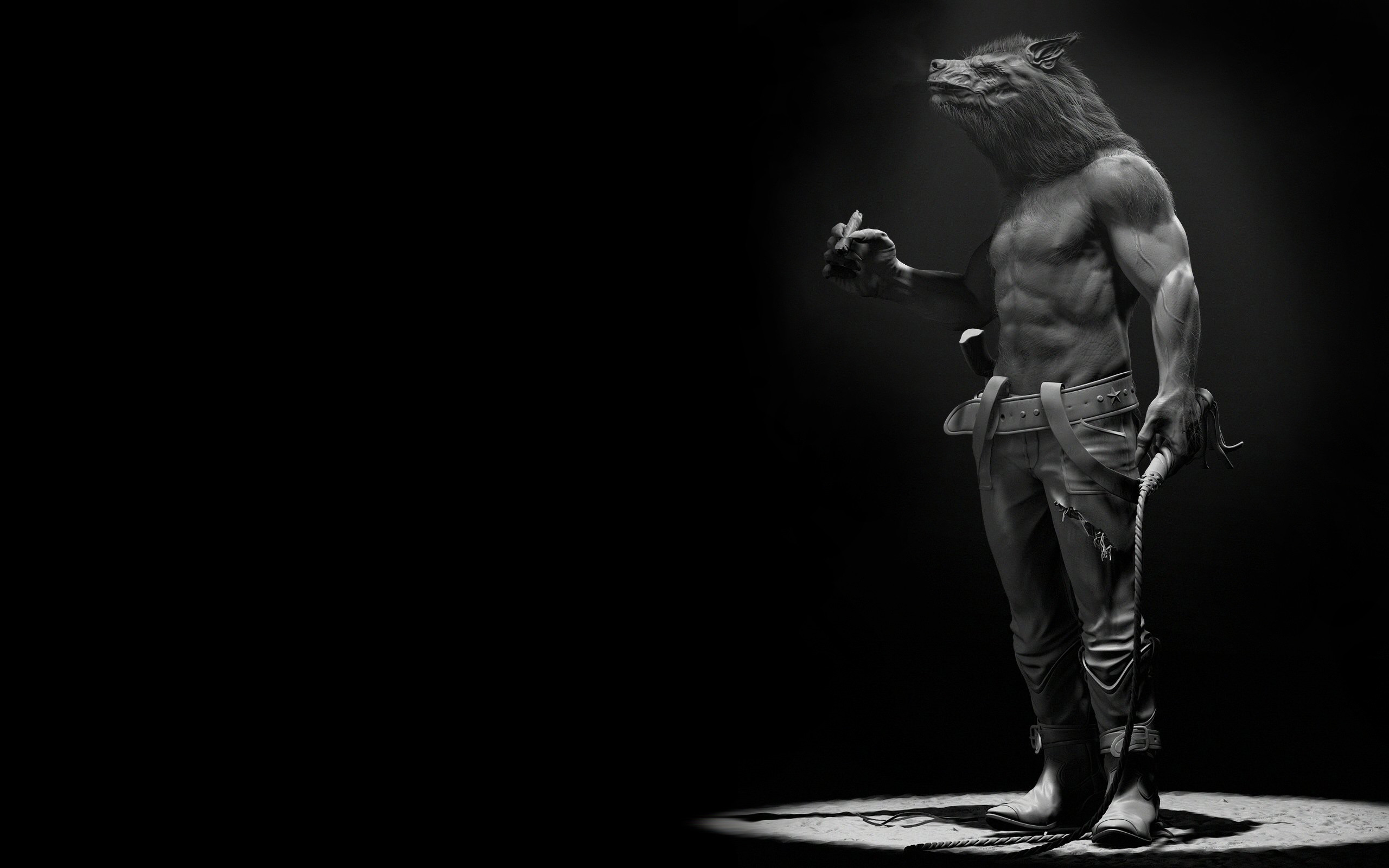 Lupo mannaro, Bianco e nero, Riflettore, 2560x1600, sfondo MacBook Pro