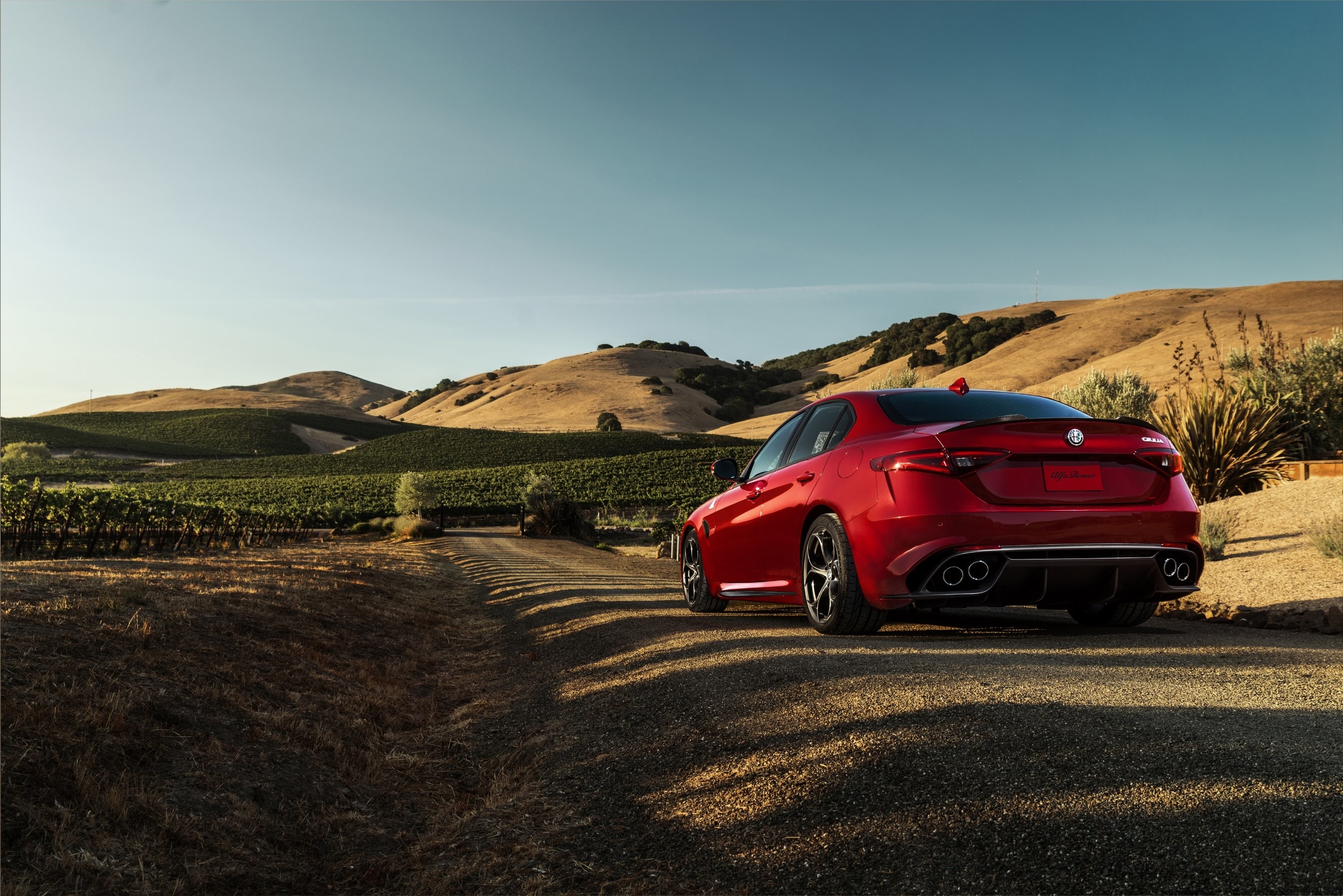 Alfa Romeo Giulia Quadrifoglio, Alfa Romeo, Colline, Vista posteriore, sfondo 2K per portatile