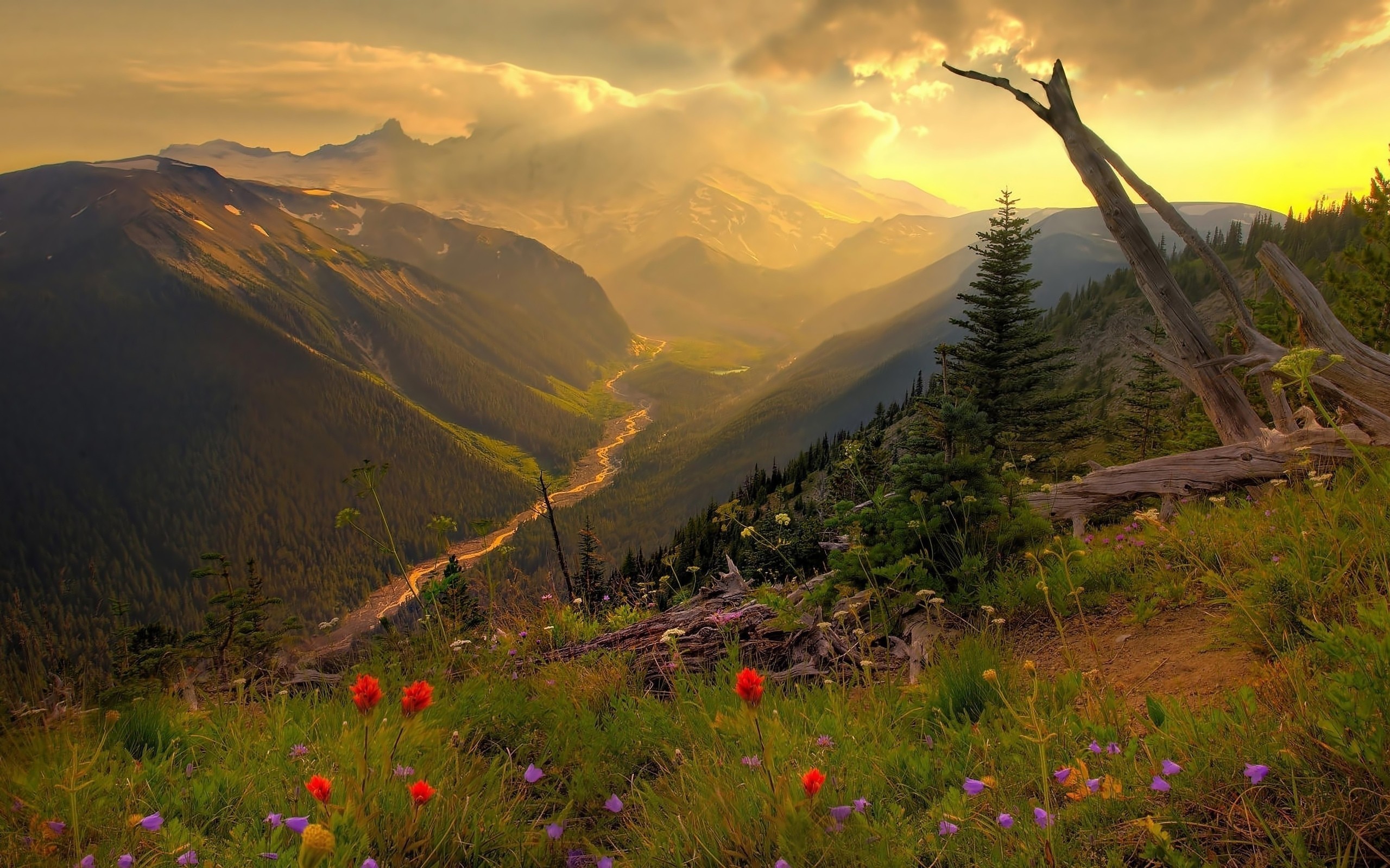 Valle montana, Fiume, Fiori rossi, Tramonto, sfondo 2K per desktop