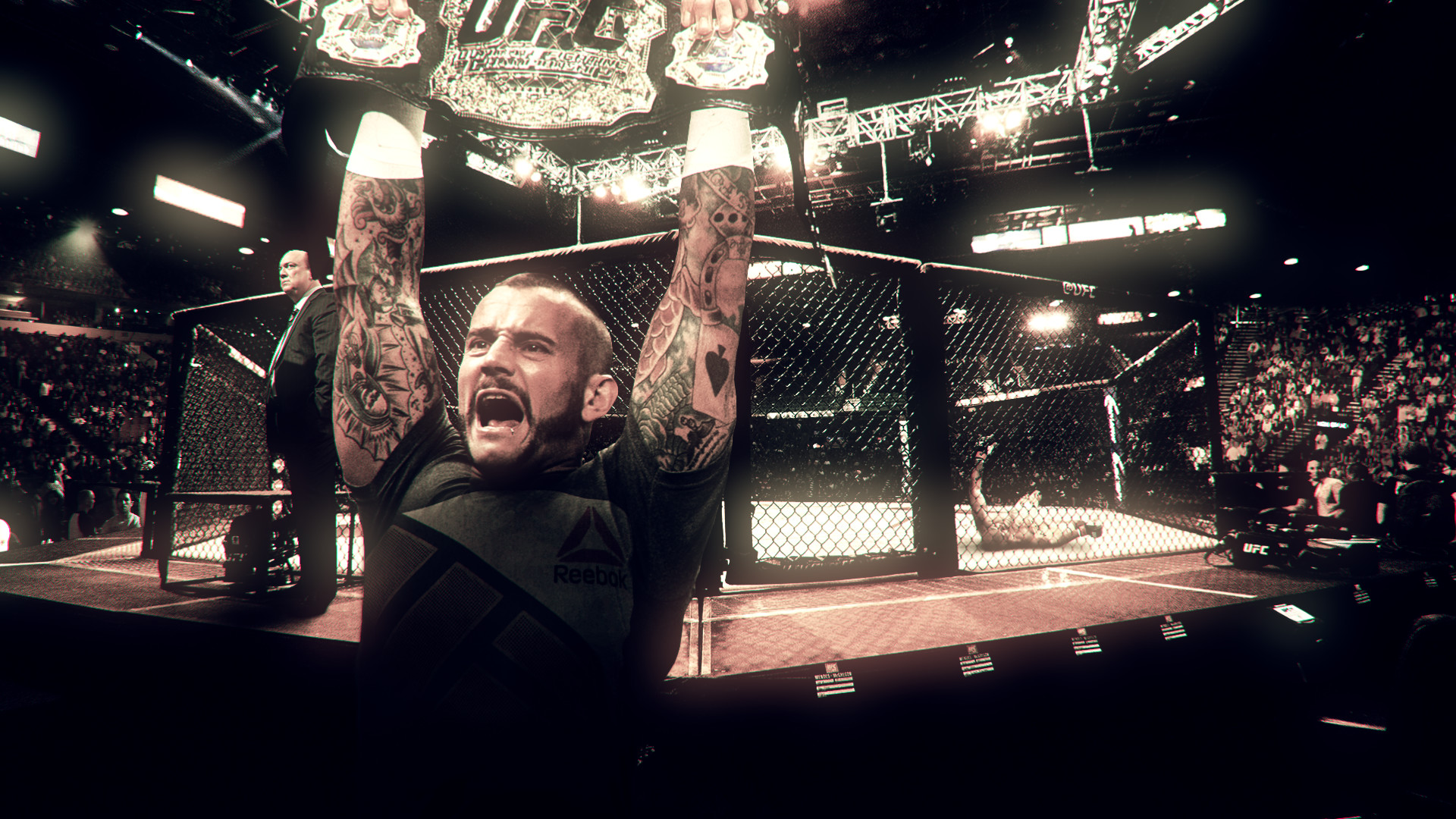CM Punk, Ottagono, Esultanza, Arena, 1920x1080, sfondo per PC