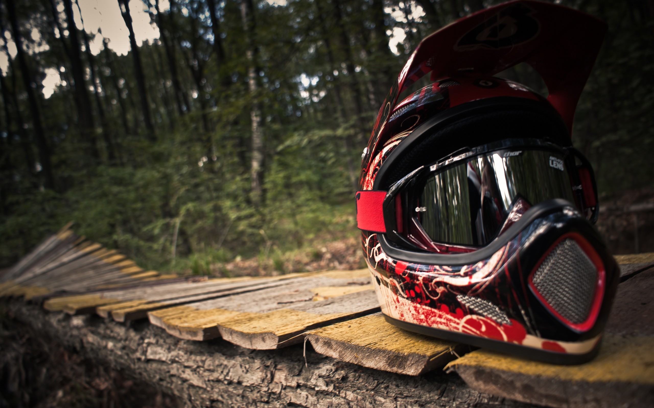 Casco da motocross, Bosco, Primo piano, 2K, sfondo per PC e portatile