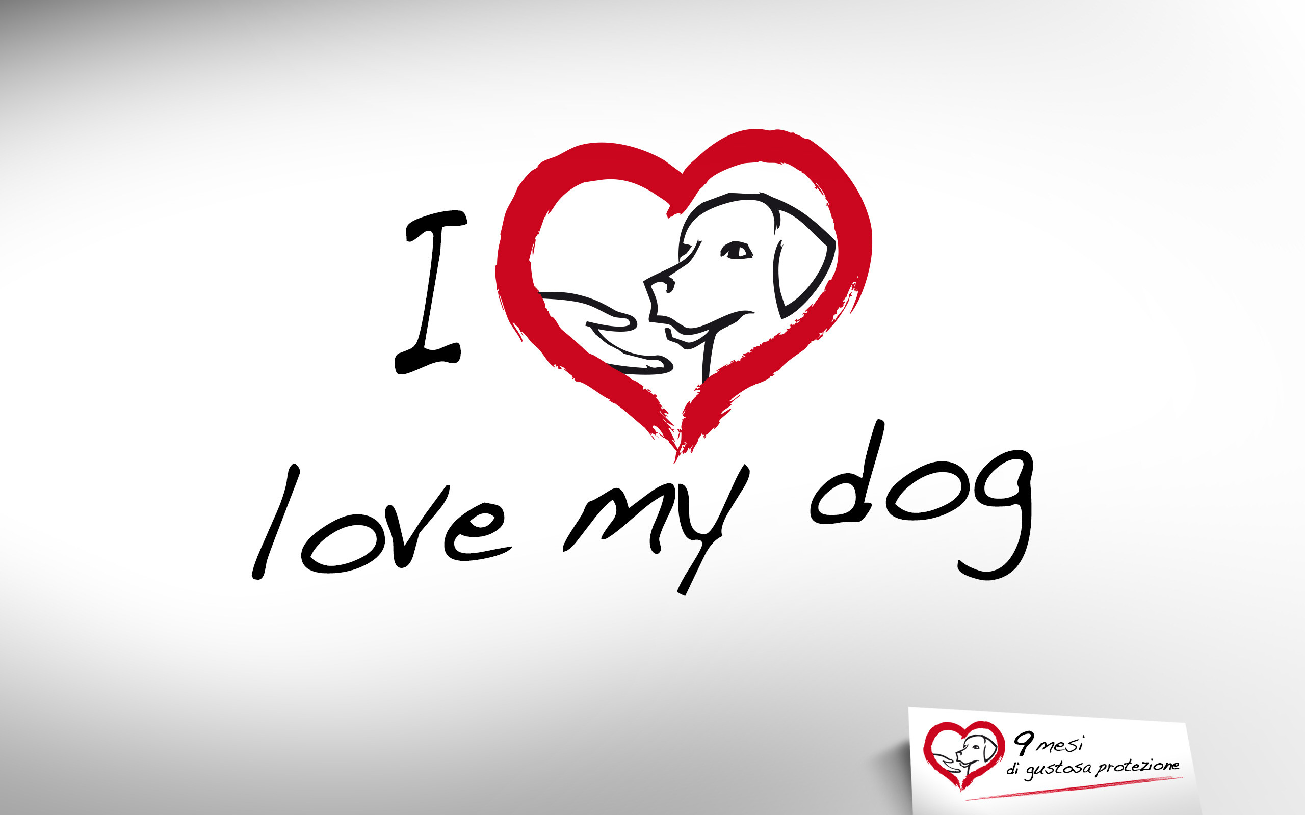 I love my dog, Cuore, Cane, Sfondo bianco, 2560x1600, wallpaper desktop
