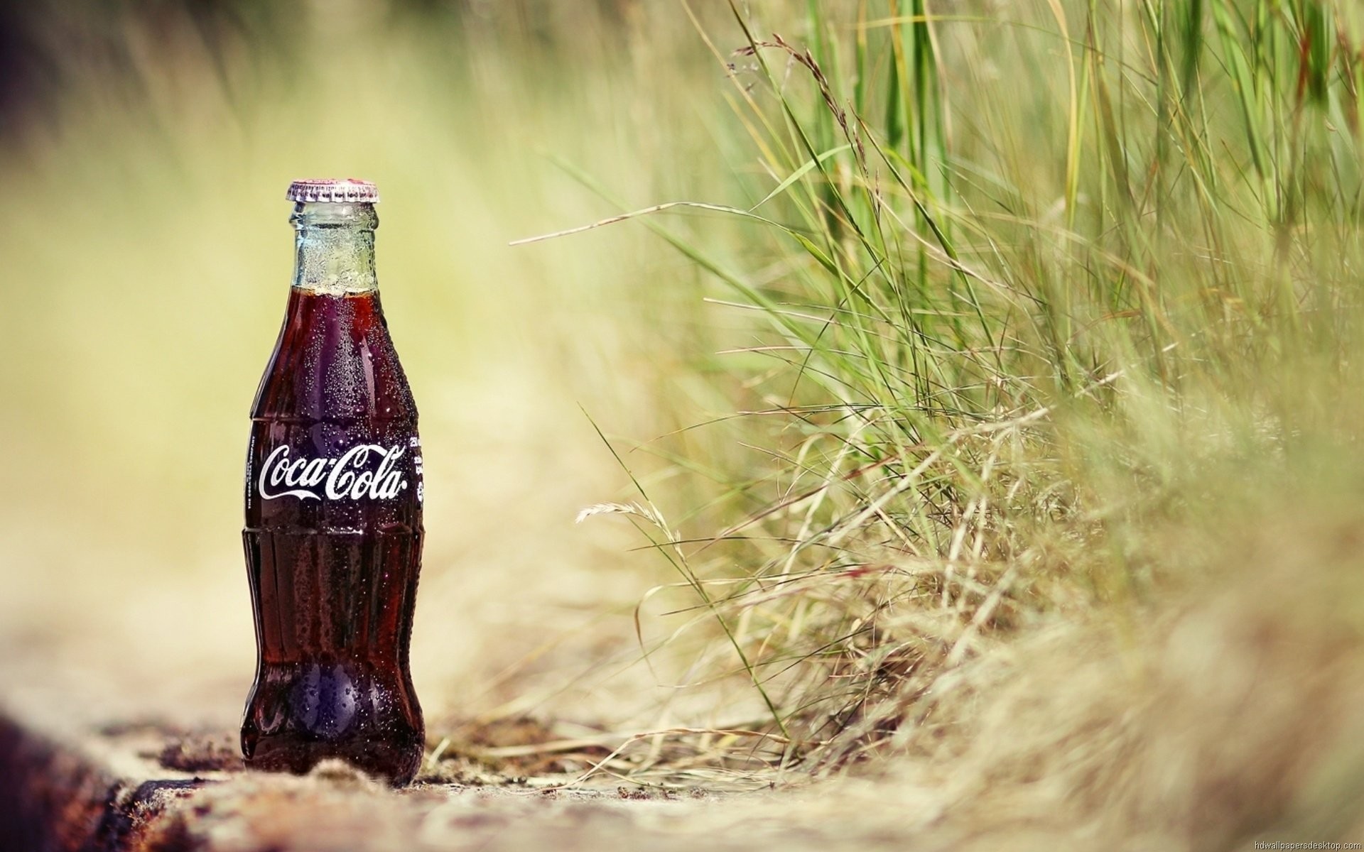 Coca-Cola, Bottiglia di vetro, Erba, Sfocato, Full HD, sfondo per portatile