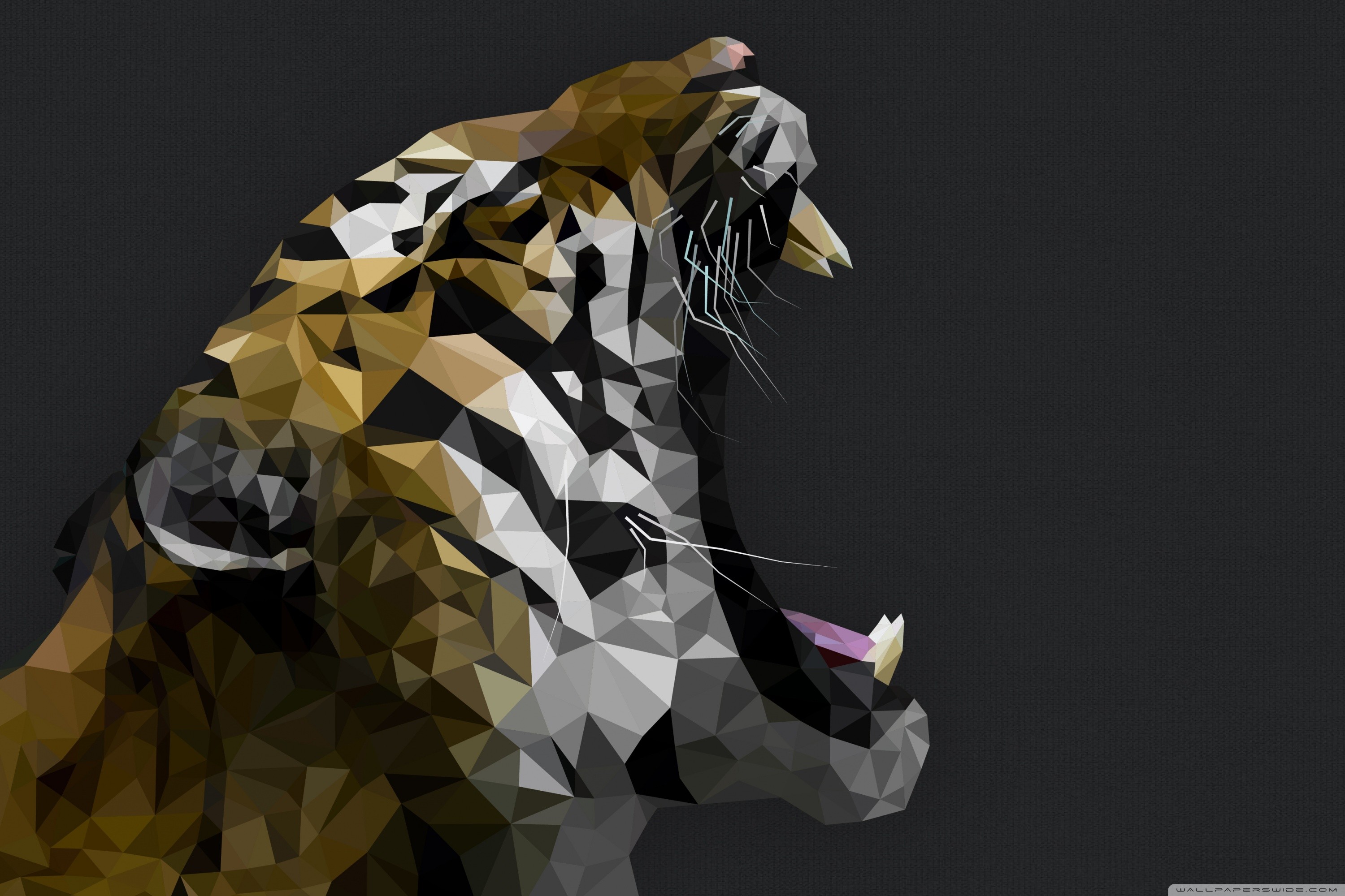 Tigre, Low poly, Ruggito, Sfondo scuro, 2K, wallpaper per portatile