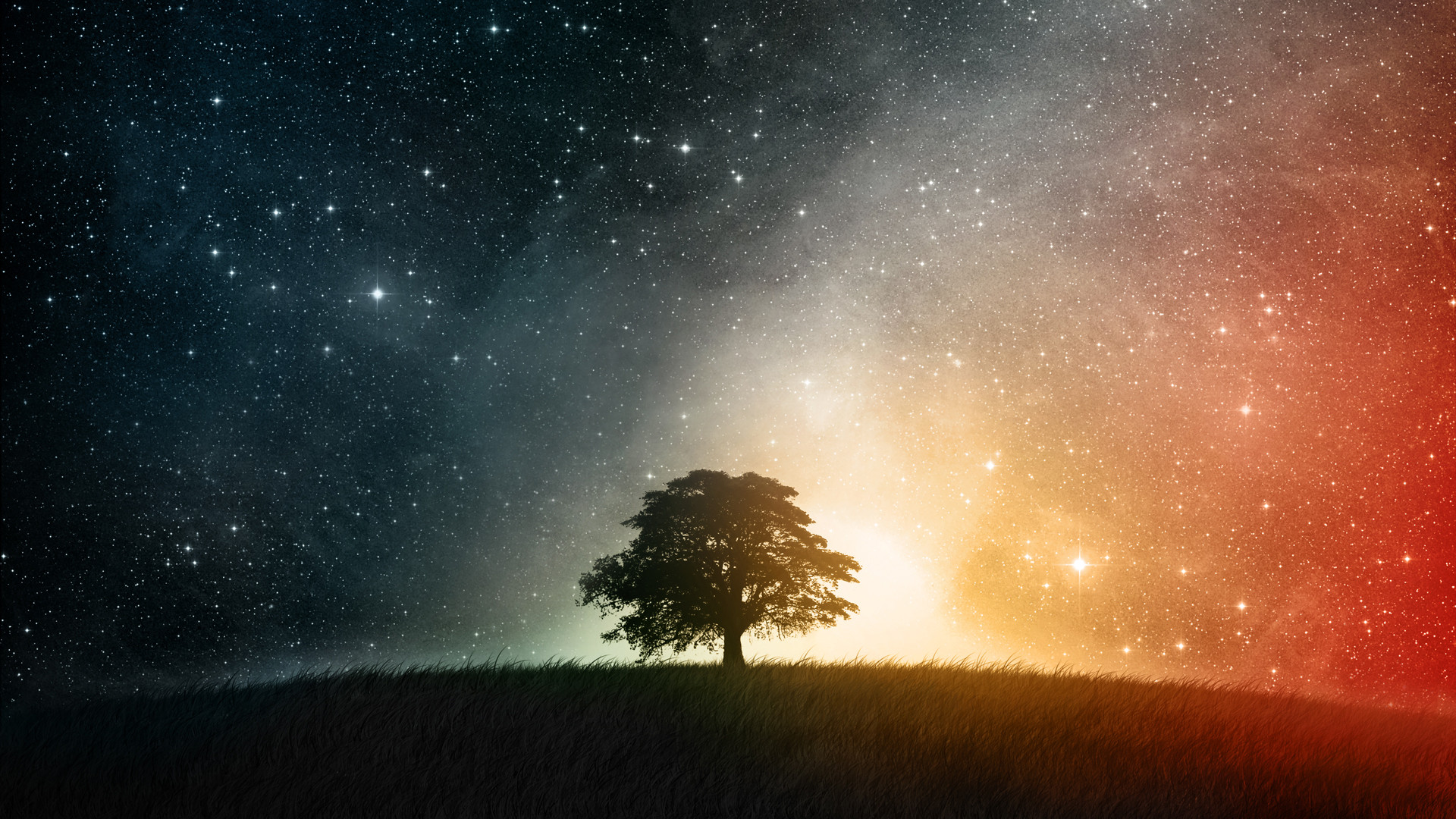 Albero solitario, Cielo stellato, Via Lattea, Notte, 1920x1080, immagine di sfondo