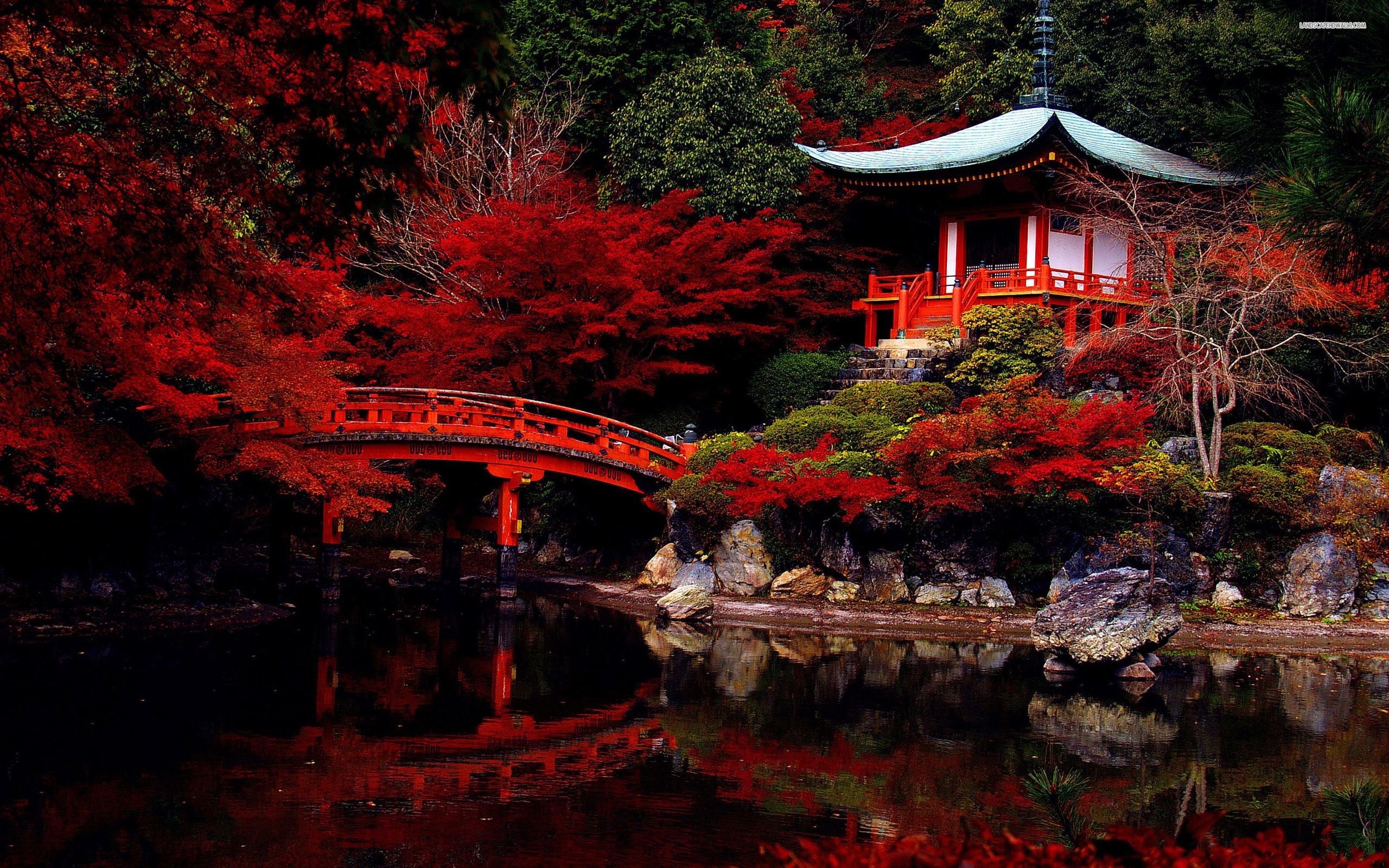 Daigo-ji, Kyoto, Giappone, Ponte rosso, Autunno, 2K, wallpaper desktop