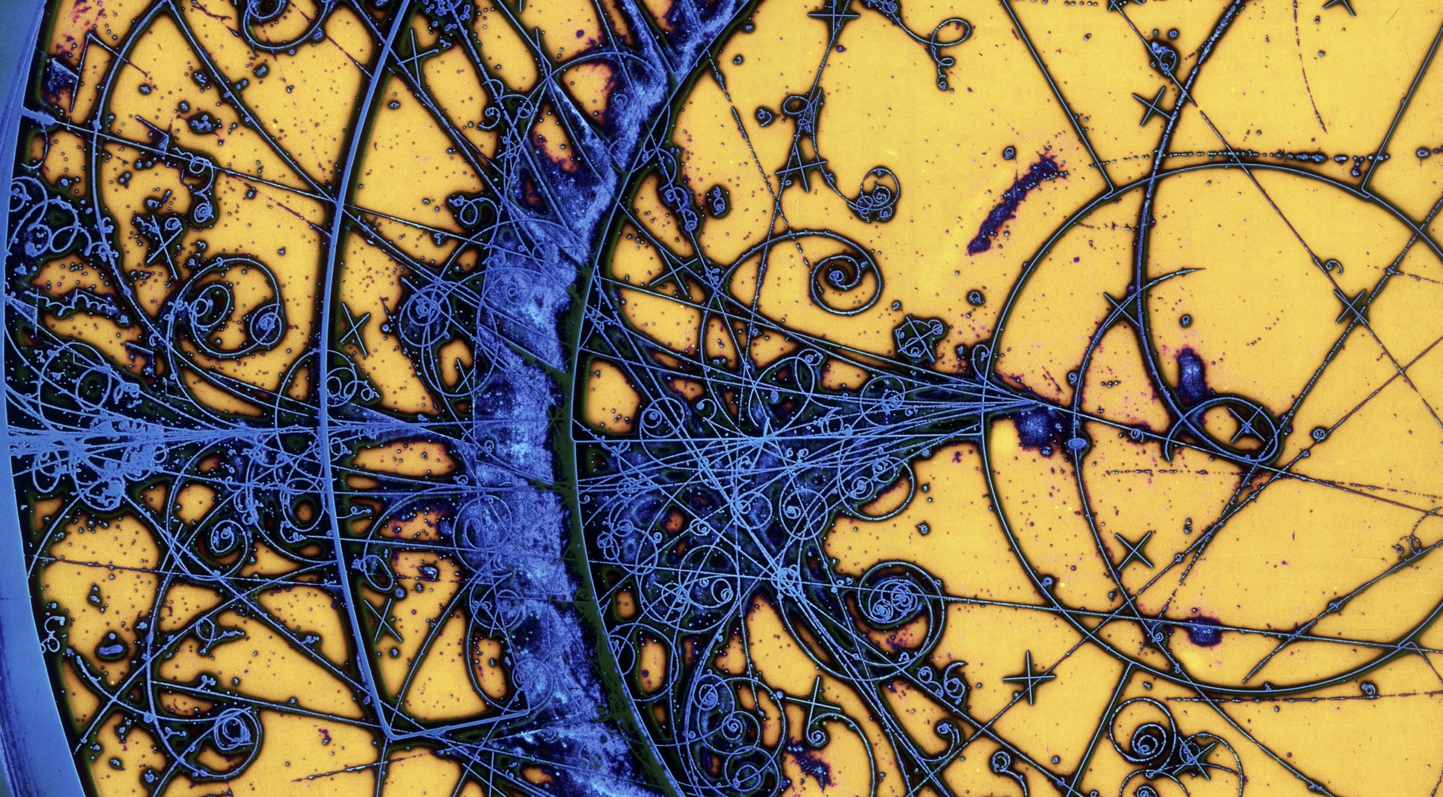 Neurone, Microscopia, Arte astratta, Blu e giallo, 2K, sfondo Windows 11