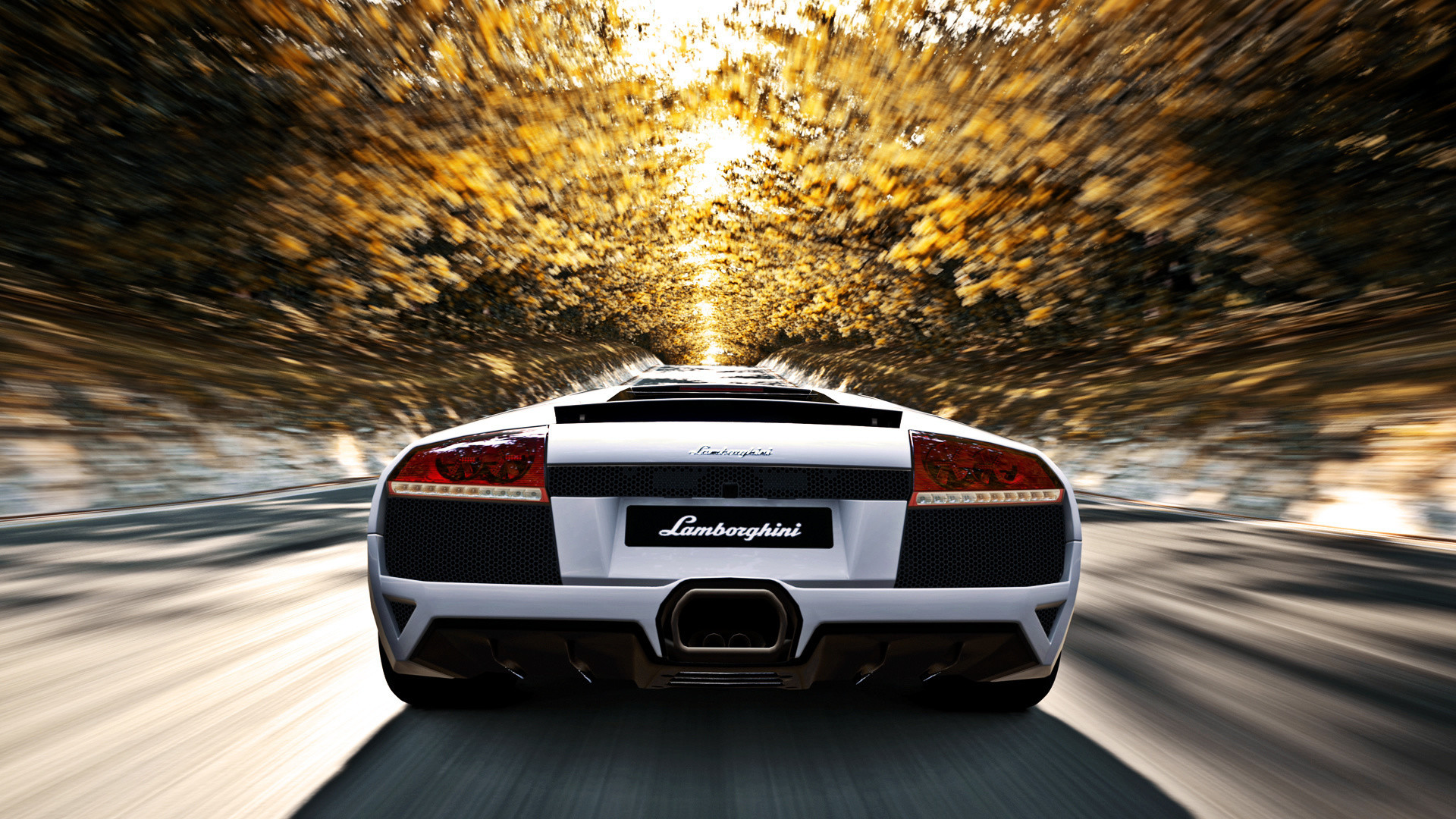 Lamborghini Murciélago, Bianco, Vista posteriore, Mosso, Autunno, sfondo per portatile