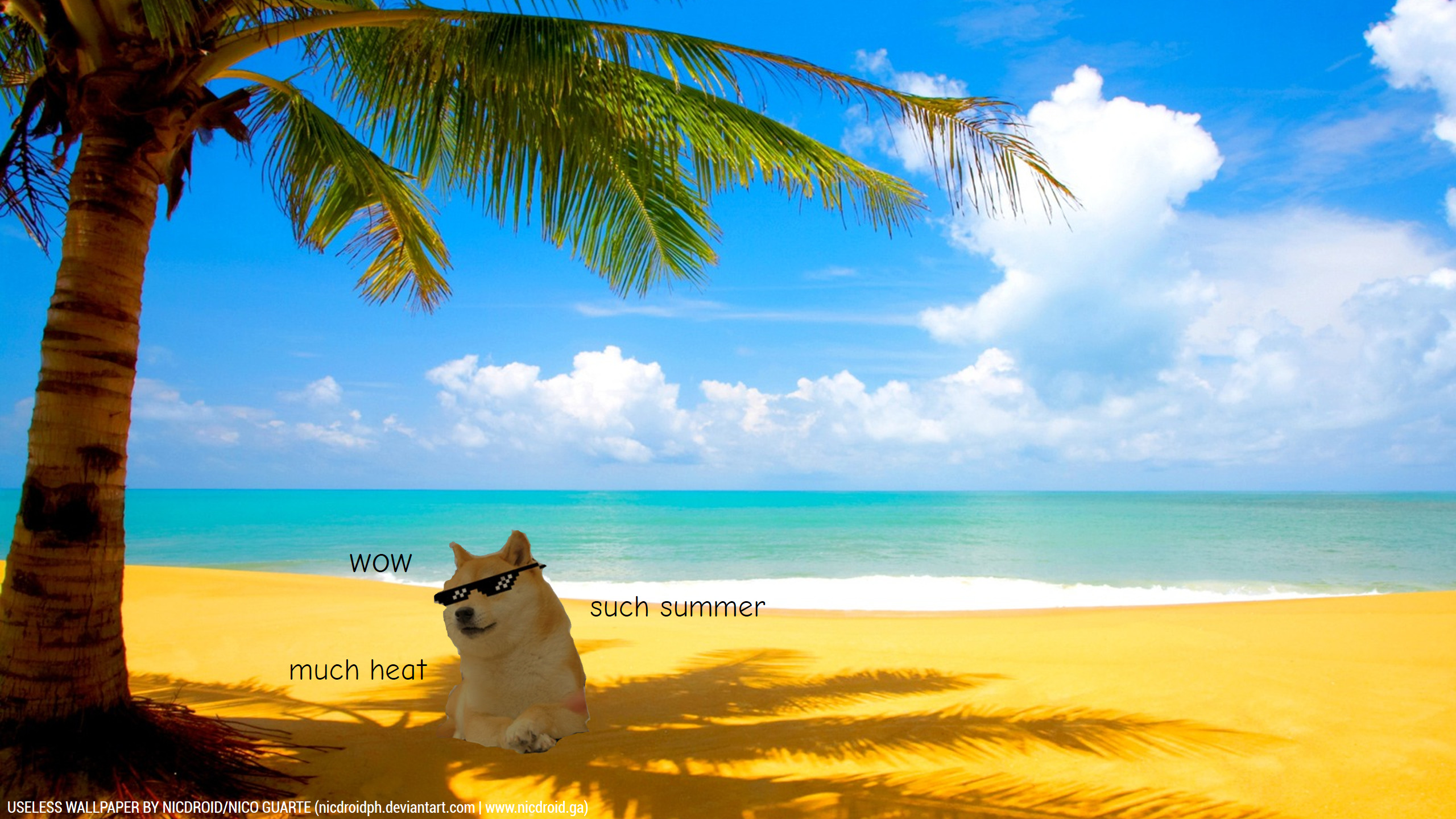 Doge, Spiaggia tropicale, Occhiali da sole, Such summer, 2K 1440p, sfondo desktop