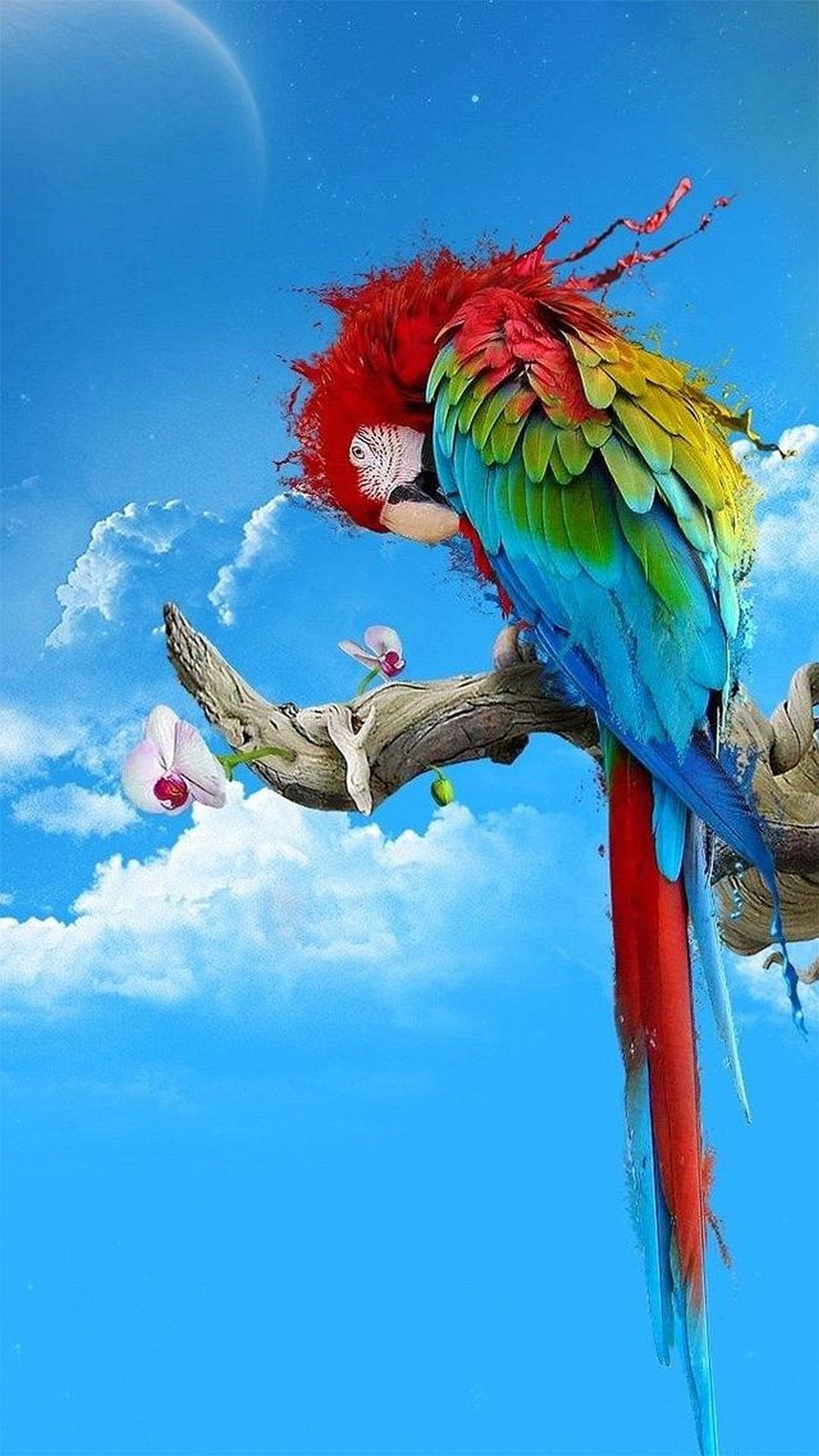 Ara, Pappagallo, Ramo, Cielo azzurro, Full HD, sfondo per smartphone