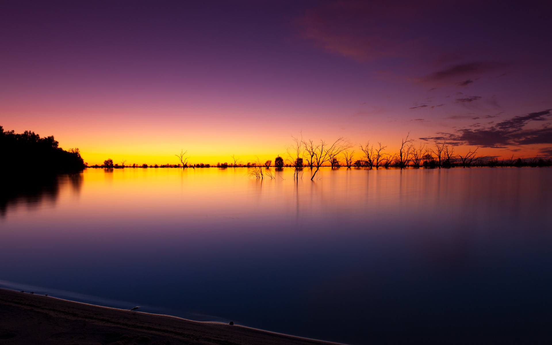 Lago, Tramonto, Alberi sommersi, Viola, 1920x1200, sfondo per PC