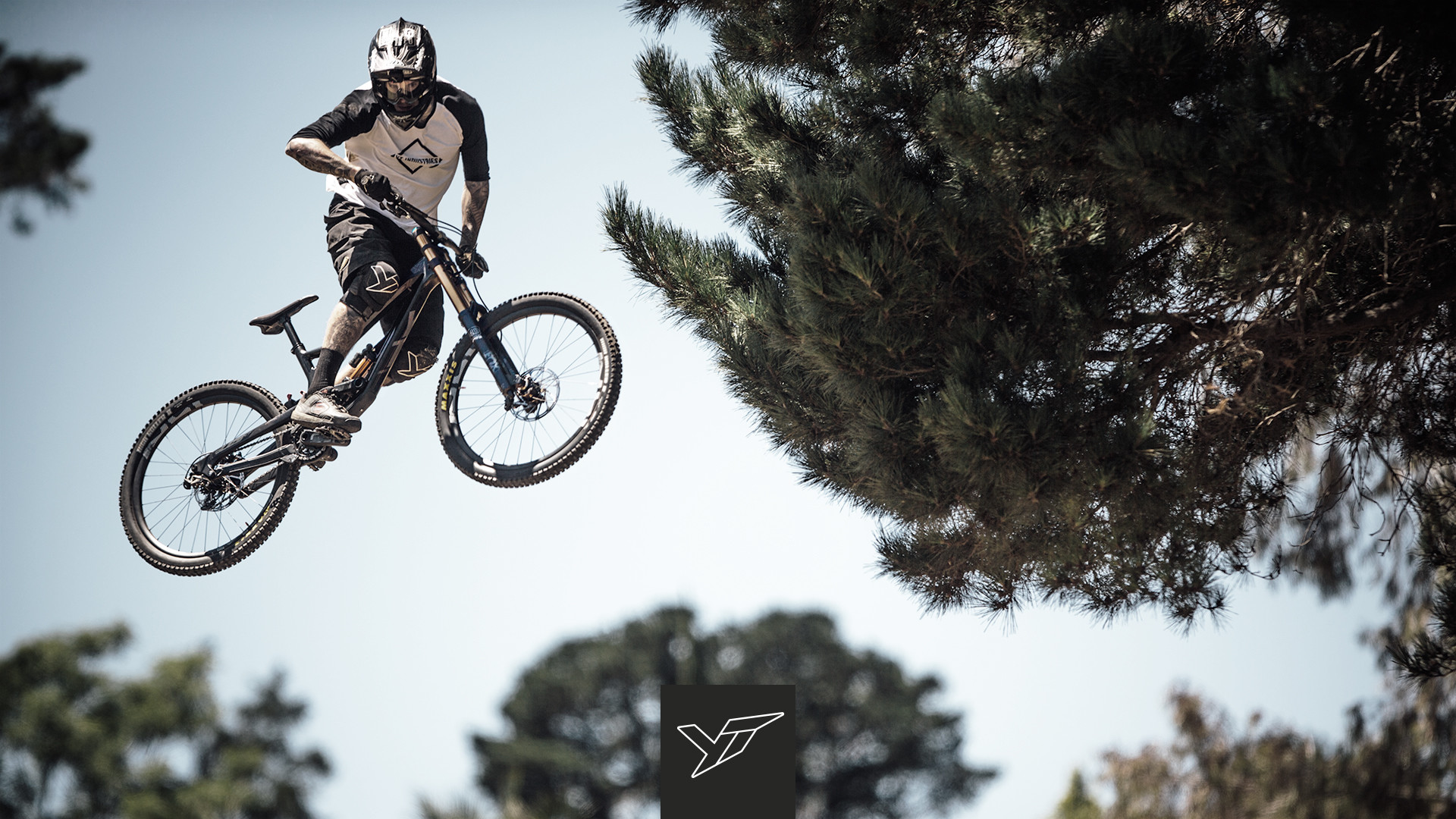 Mountain bike, Salto, Alberi, Prospettiva dal basso, Full HD, sfondo per portatile
