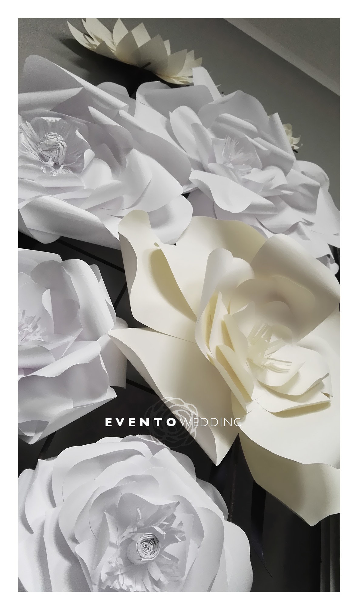 Rose bianche, Bianco e nero, Stile Tumblr, Full HD, sfondo per smartphone