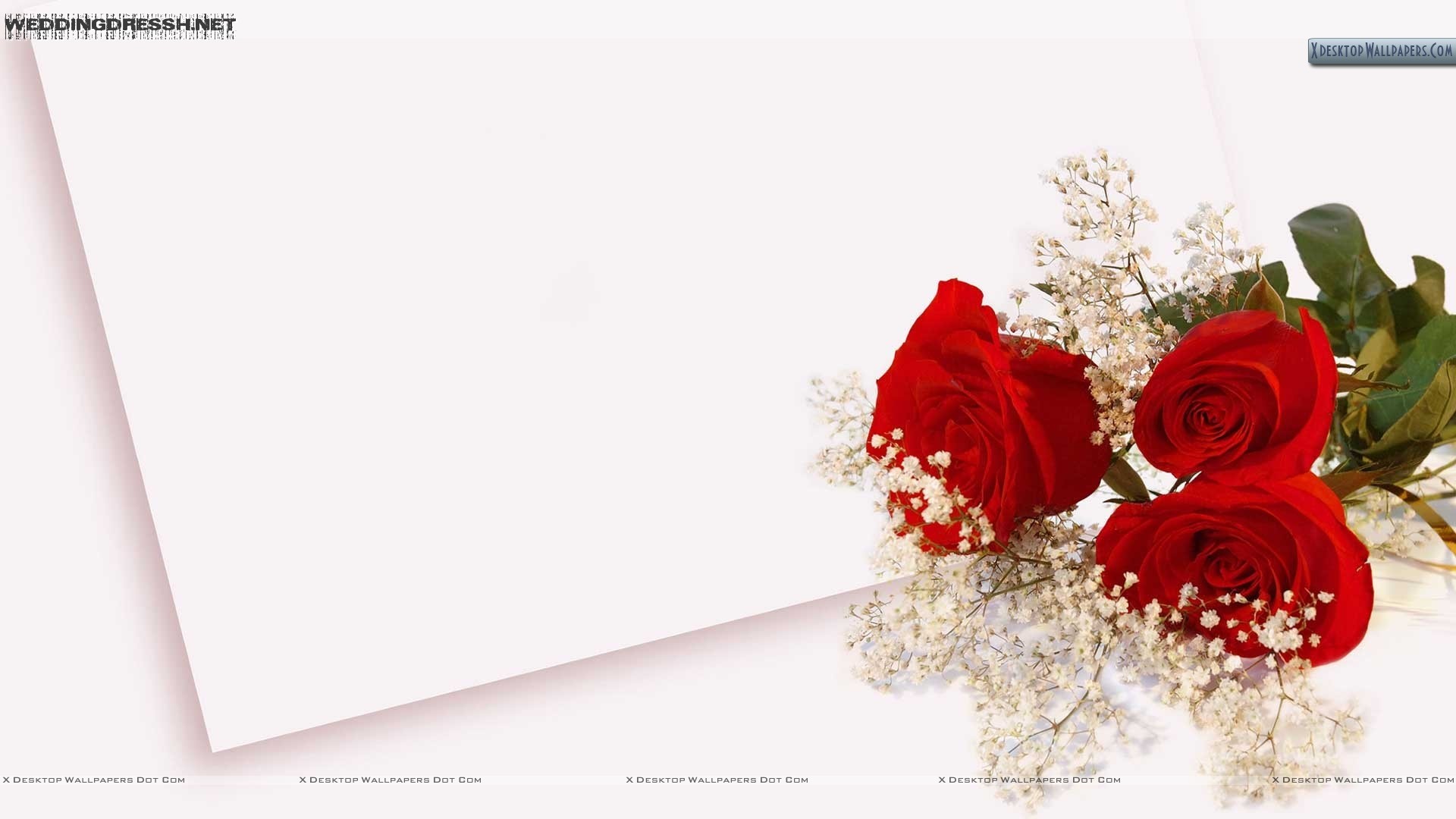 Rose rosse, Biglietto, Gypsophila, Bianco, Full HD, sfondo per PC e portatile