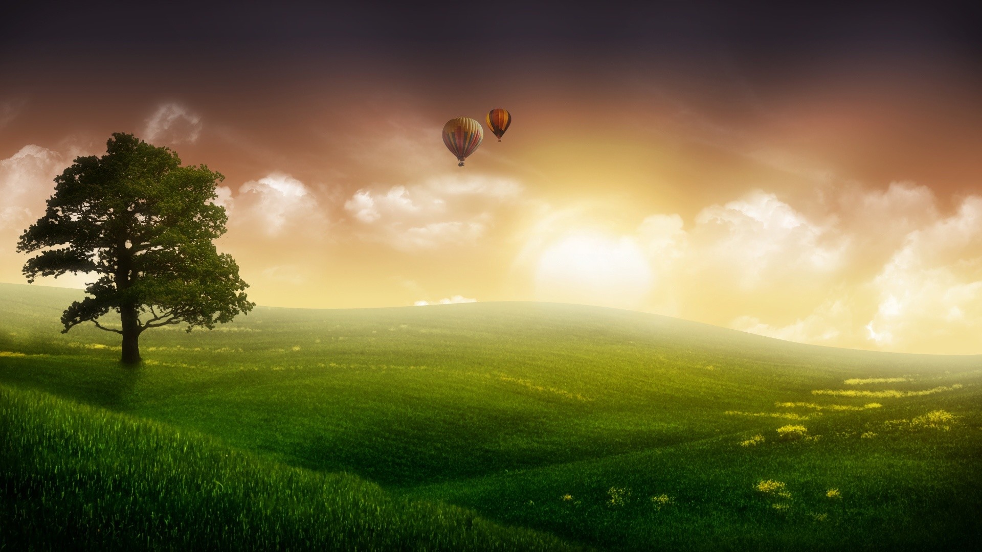 Albero, Prato, Mongolfiere, Tramonto, sfondo Windows 7 Full HD