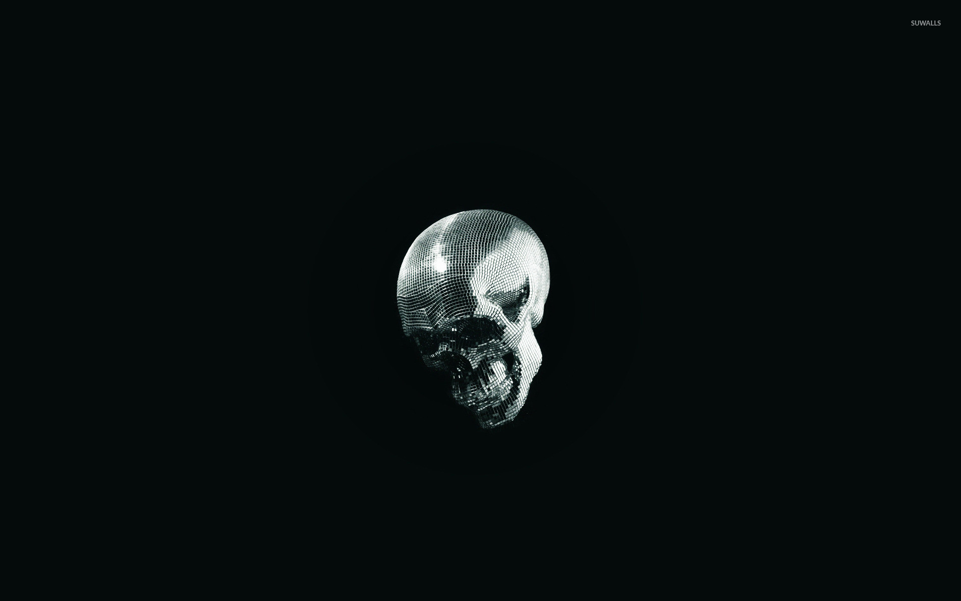 Teschio cromato, Minimalista, Sfondo nero, 1920x1200, wallpaper desktop