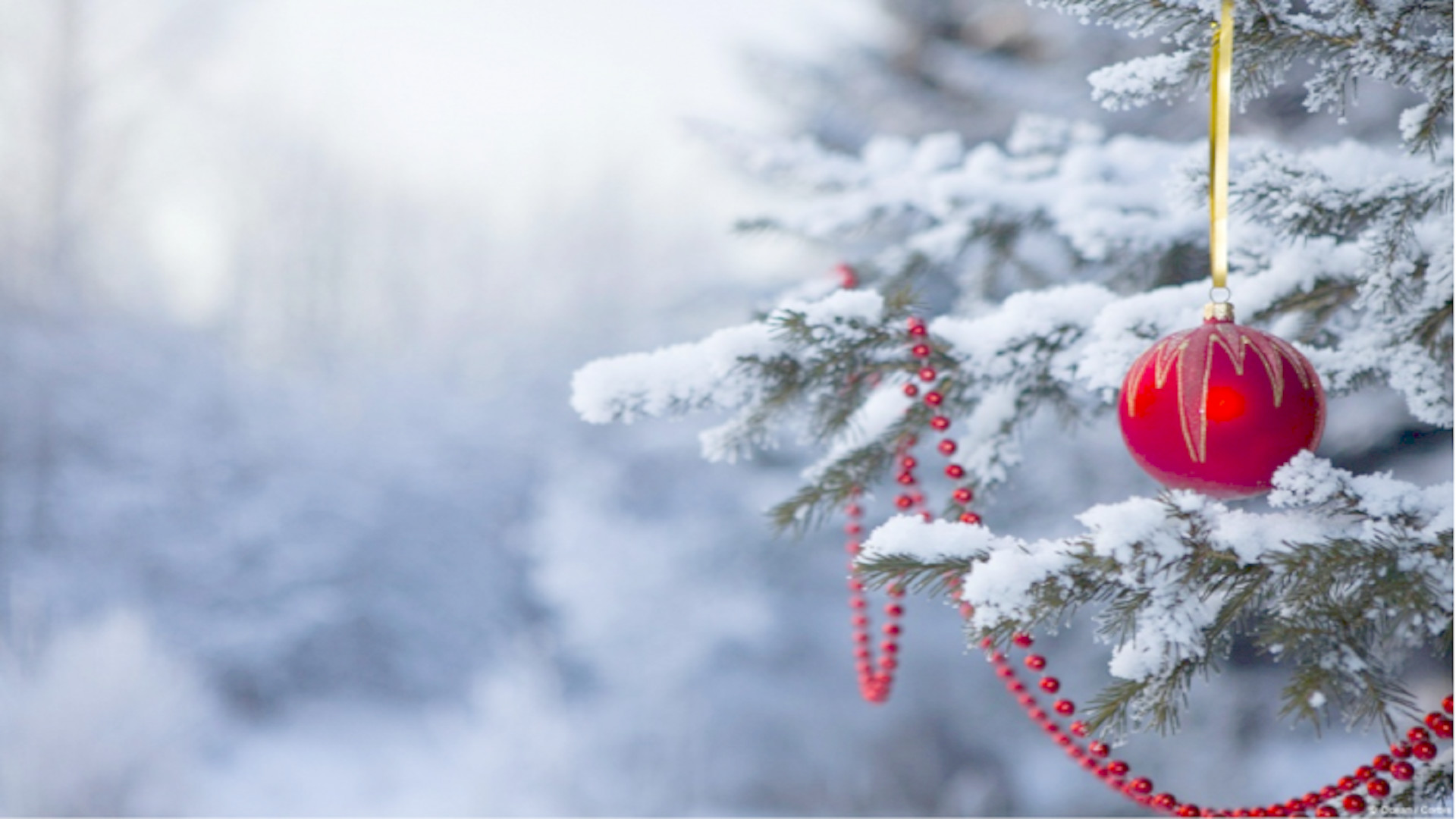 Natale, Pallina rossa, Ramo innevato, Inverno, Full HD, sfondo per PC e portatile