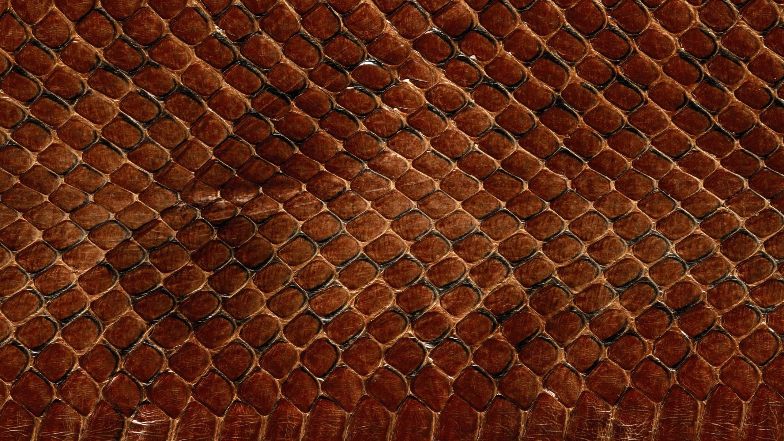 Pelle di serpente, Squame, Texture, Marrone, 16:9 2K, sfondo widescreen