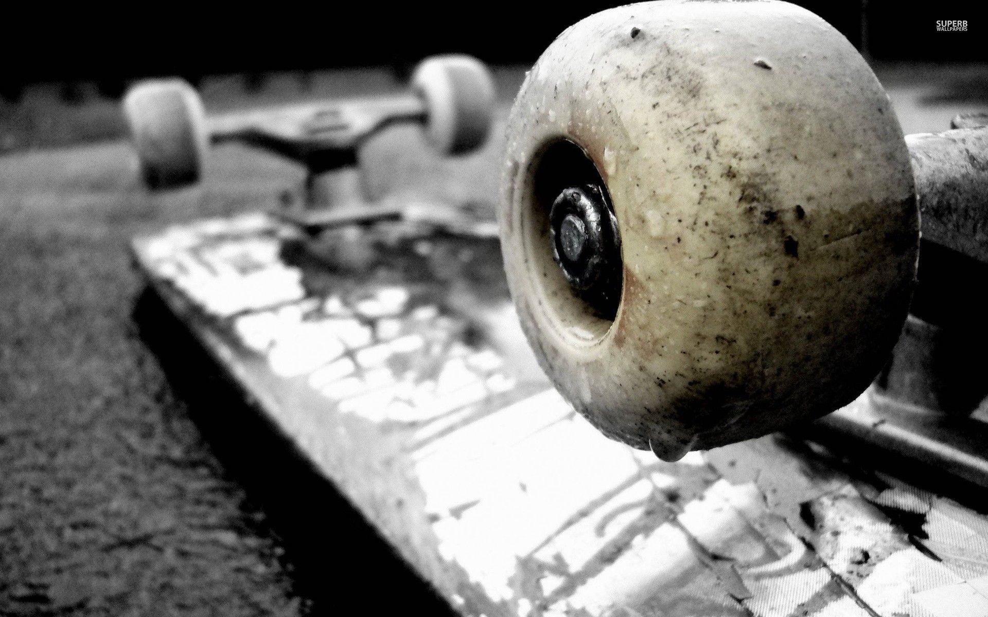 Longboard, Ruota, Primo piano, Bianco e nero, 16:10 Full HD, wallpaper widescreen