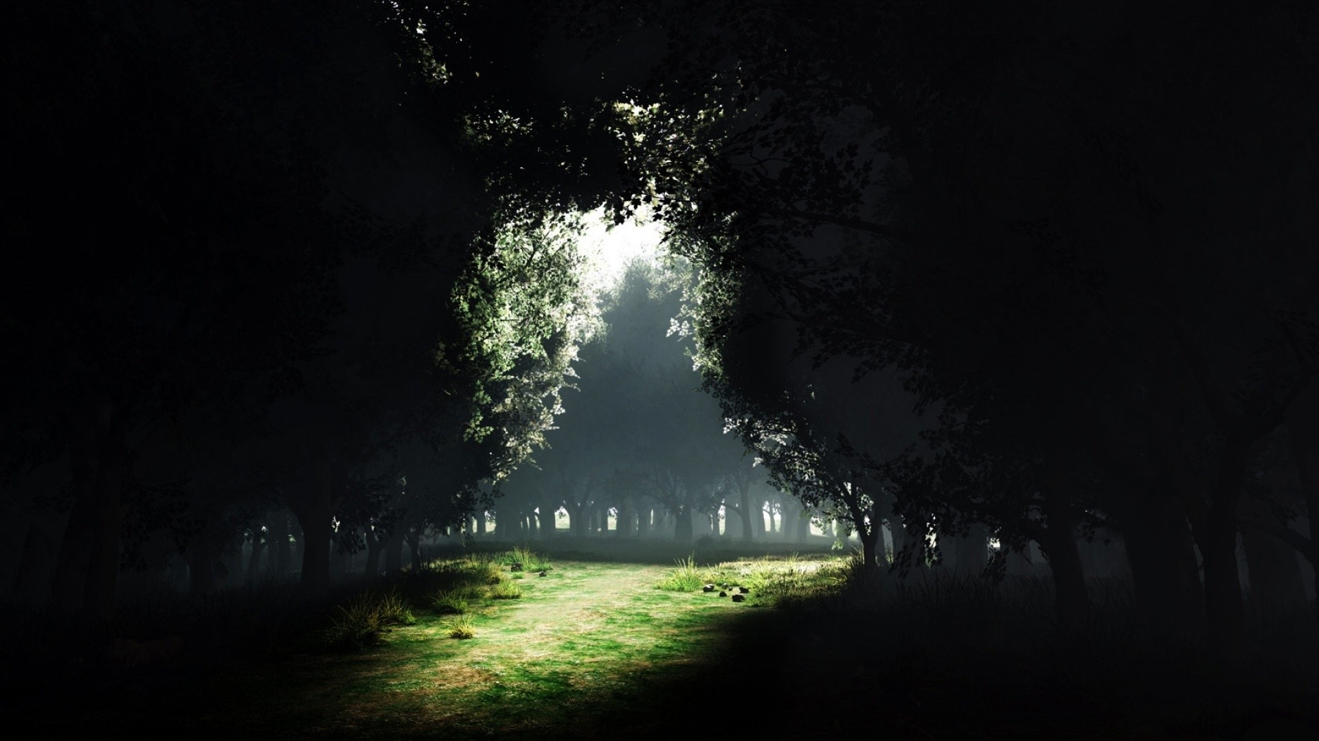 Galleria di alberi, Radura, Luce, Toni scuri, 16:9 Full HD, wallpaper widescreen