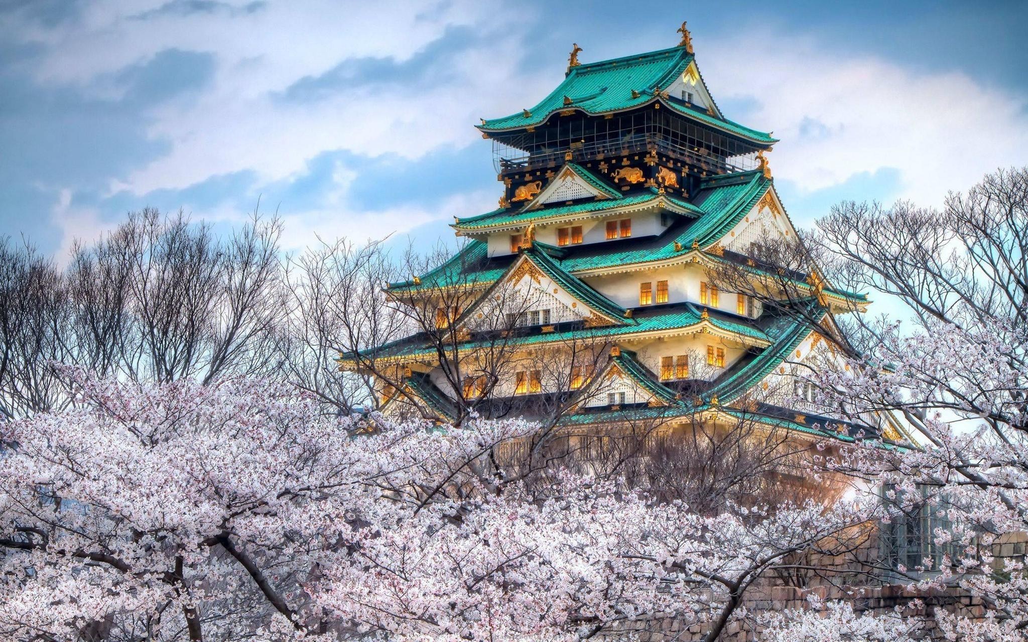 Castello di Osaka, Giappone, Ciliegi in fiore, Architettura antica, sfondo Windows 11