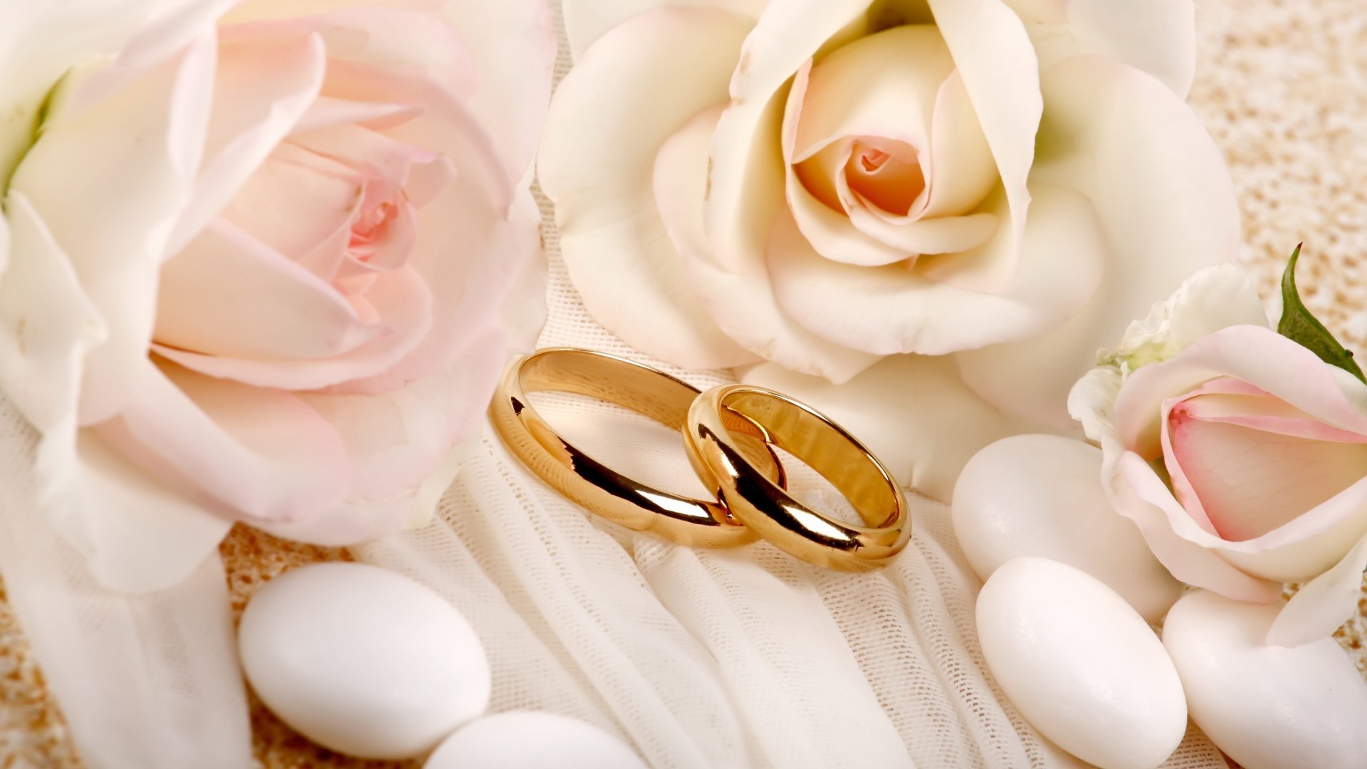 Fedi nuziali, Rose rosa, Confetti, Anelli d'oro, Full HD, sfondo per PC e portatile