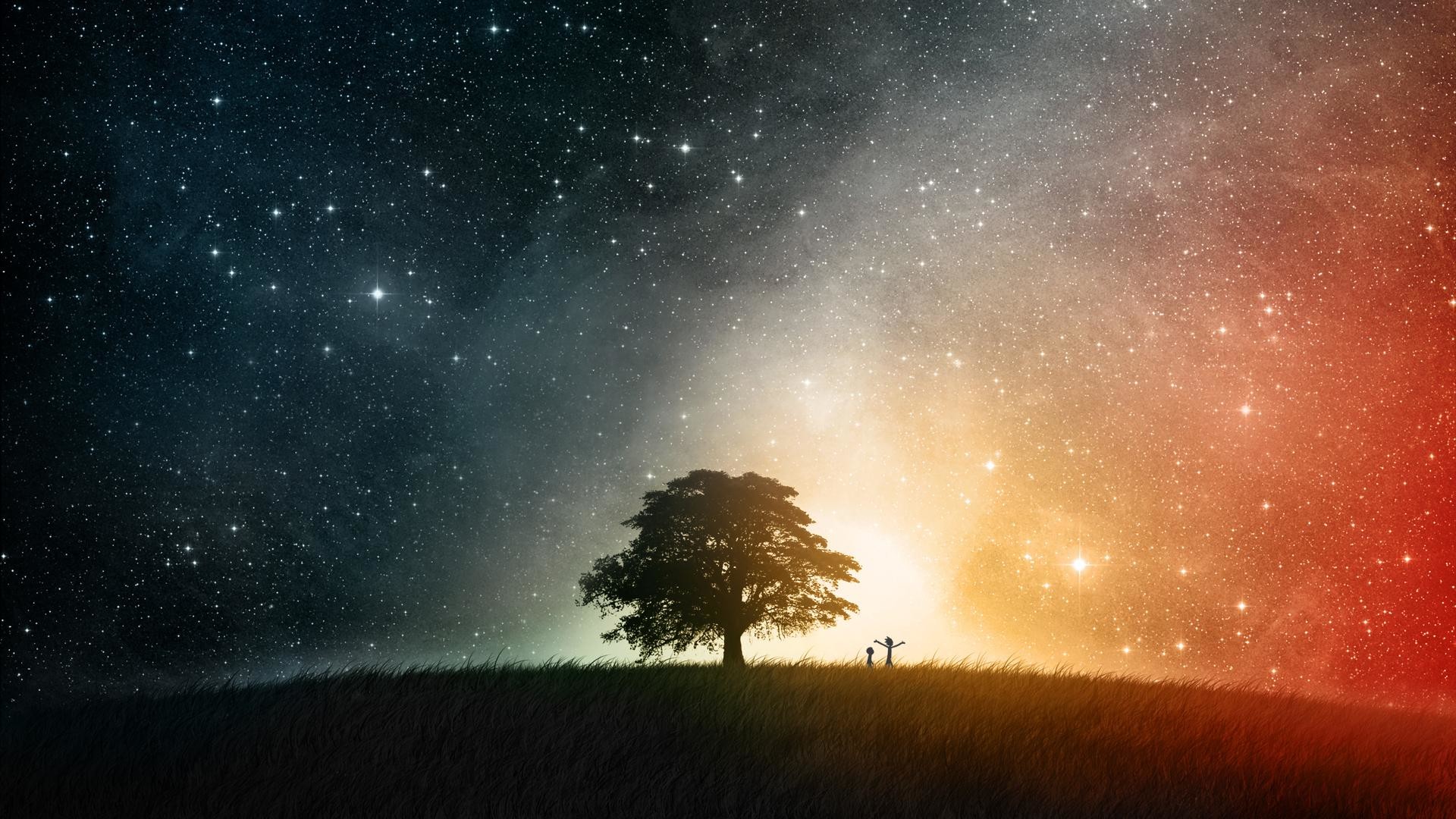 Albero, Via Lattea, Full HD 1080p, sfondo desktop
