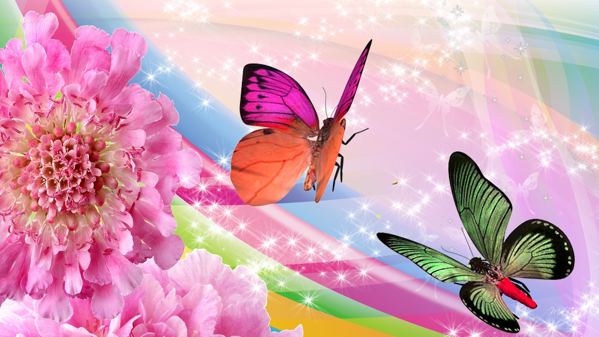 Farfalle, Fiori rosa, Arcobaleno, Arte digitale, 1920x1080, immagine di sfondo