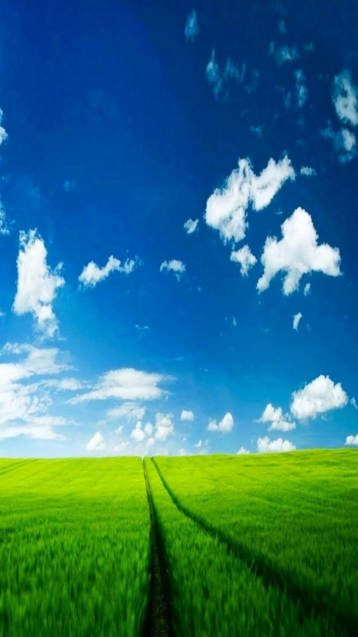 Prato verde, Cielo azzurro, Nuvole, sfondo LG G4 verticale