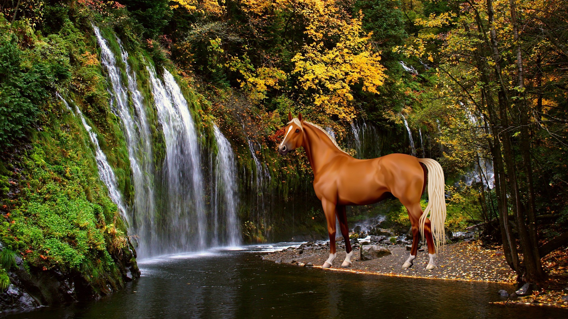 Cavallo sauro, Cascata, Foresta, Autunno, Full HD, sfondo desktop