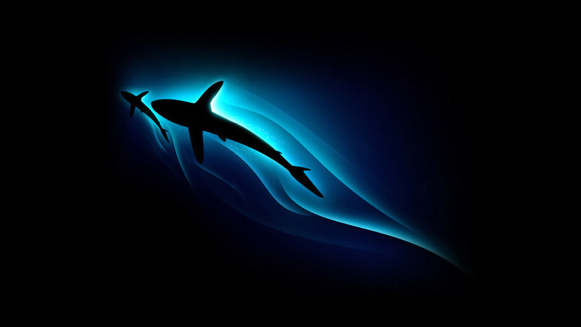 Squalo, Silhouette, Luce al neon, Sfondo nero, 16:9 Full HD, wallpaper widescreen