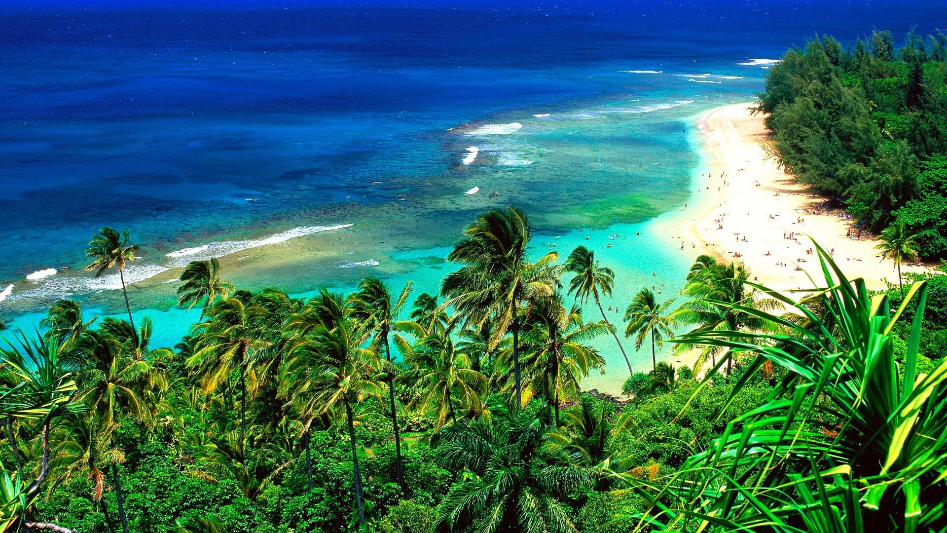 Hawaii, Spiaggia, Palme, Barriera corallina, Vista aerea, Full HD, sfondo per portatile