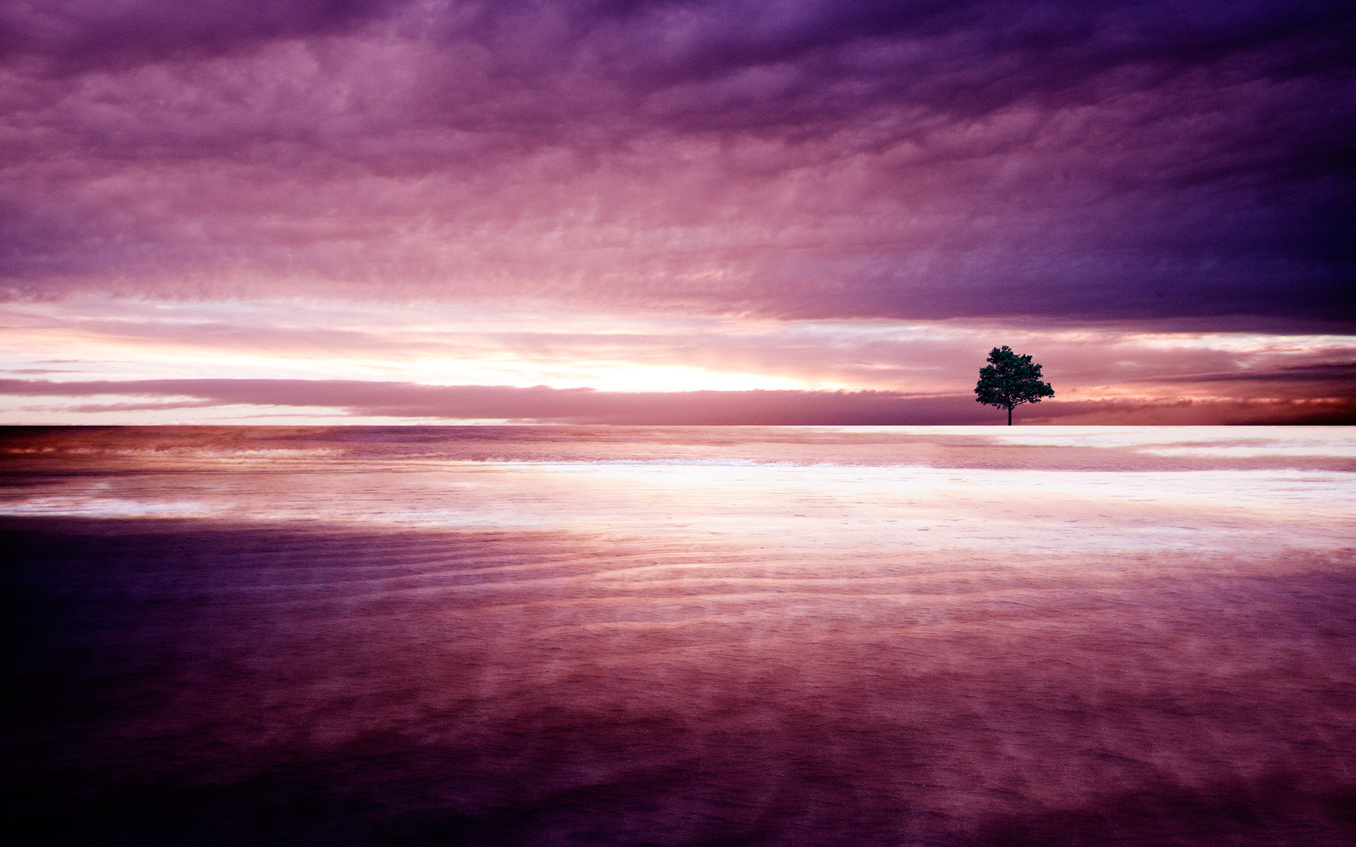 Albero solitario, Cielo viola, Orizzonte, 1920x1200, immagine di sfondo