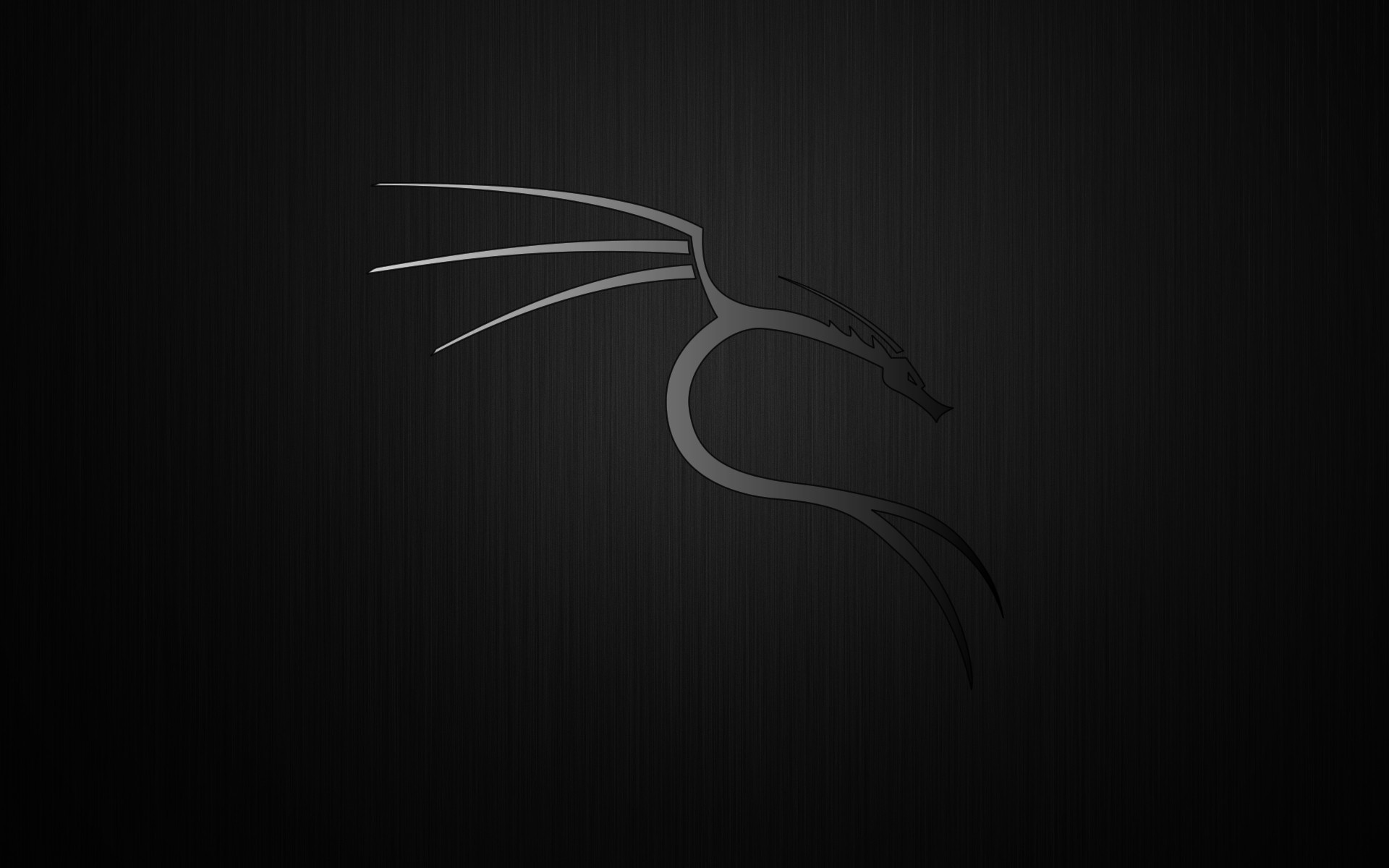 Kali Linux, Logo del drago, Minimalismo, Grigio scuro, 16:10 Full HD, sfondo widescreen
