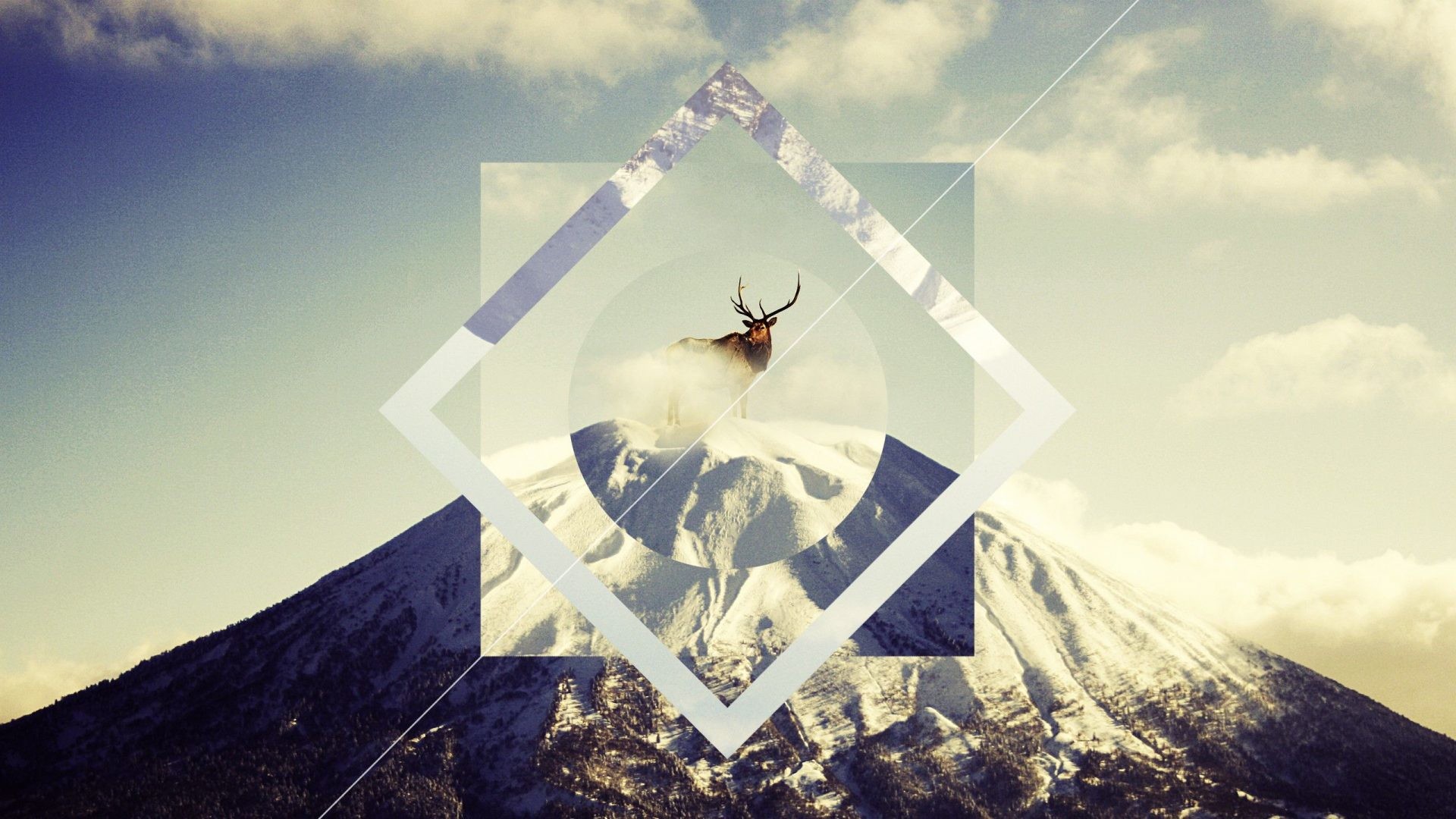 Rombo, Cervo, Montagna, Collage, Full HD, sfondo per PC