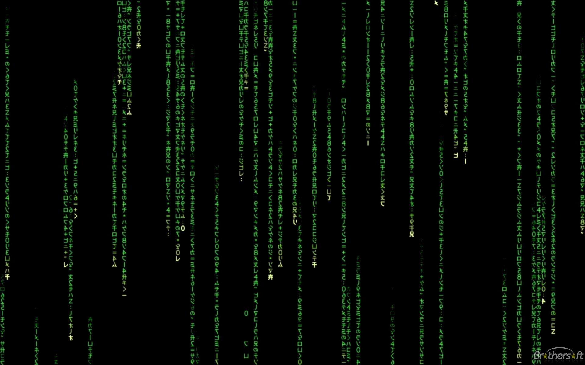 Matrix, Pioggia di codice, Sfondo nero, 1920x1200, wallpaper desktop