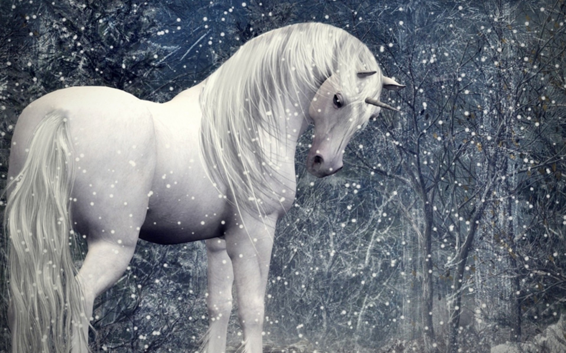 Unicorno, Fantasy, Neve, Bosco invernale, 1920x1200, immagine di sfondo