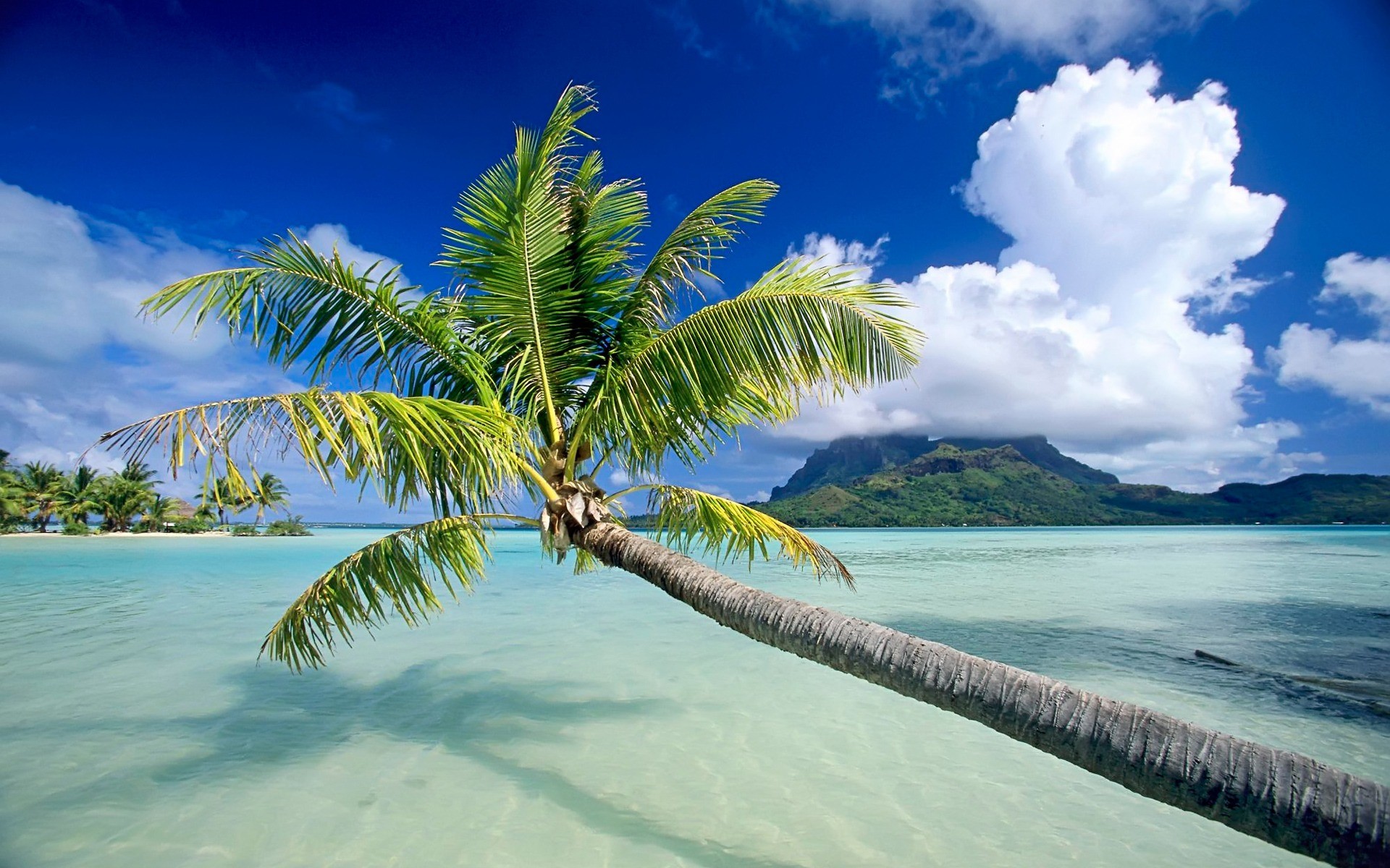 Bora Bora, Palma, Laguna, Nuvole, Full HD, sfondo desktop