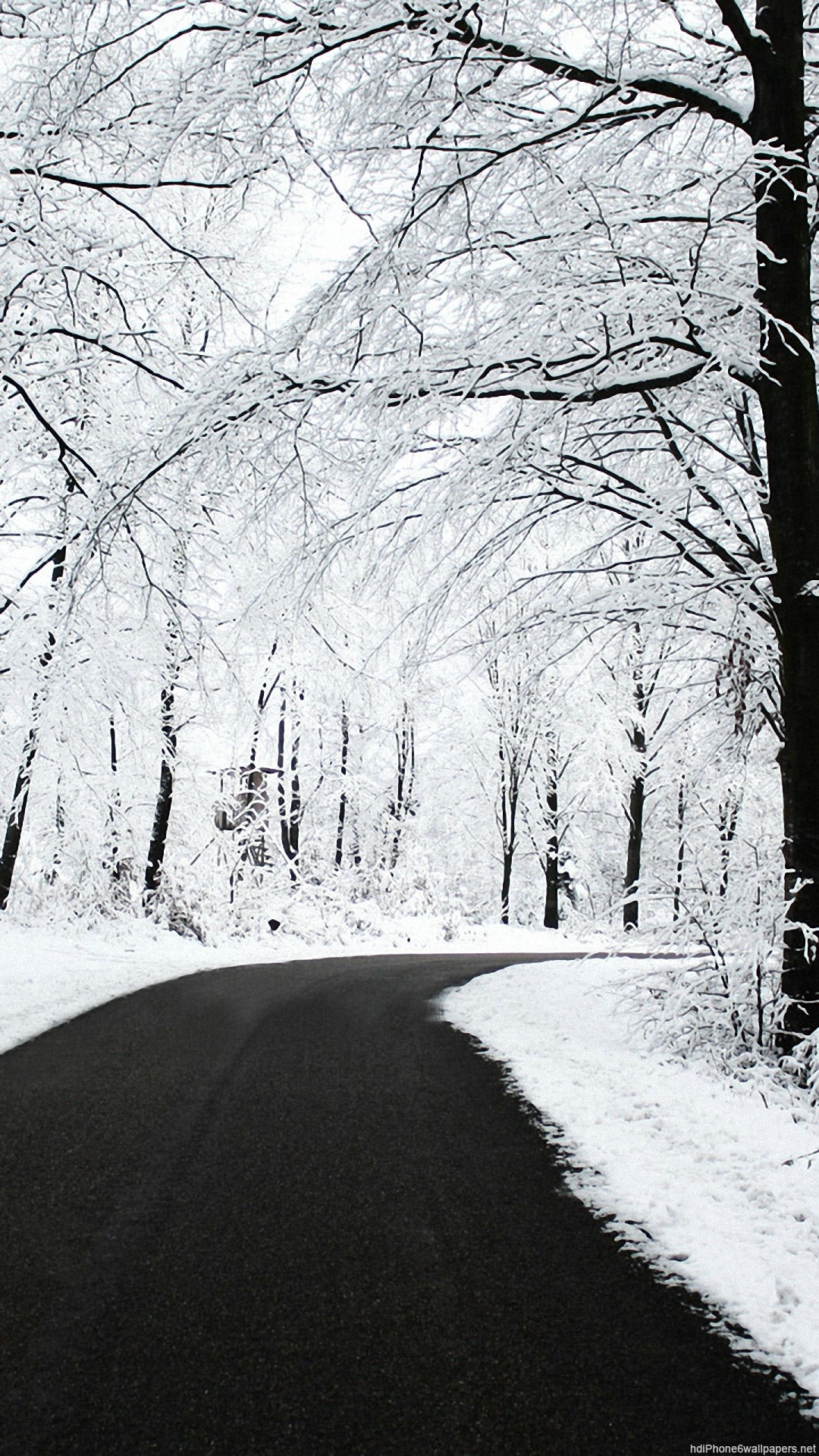 Strada, Neve, Alberi, Inverno, sfondo schermata di blocco iPhone 6
