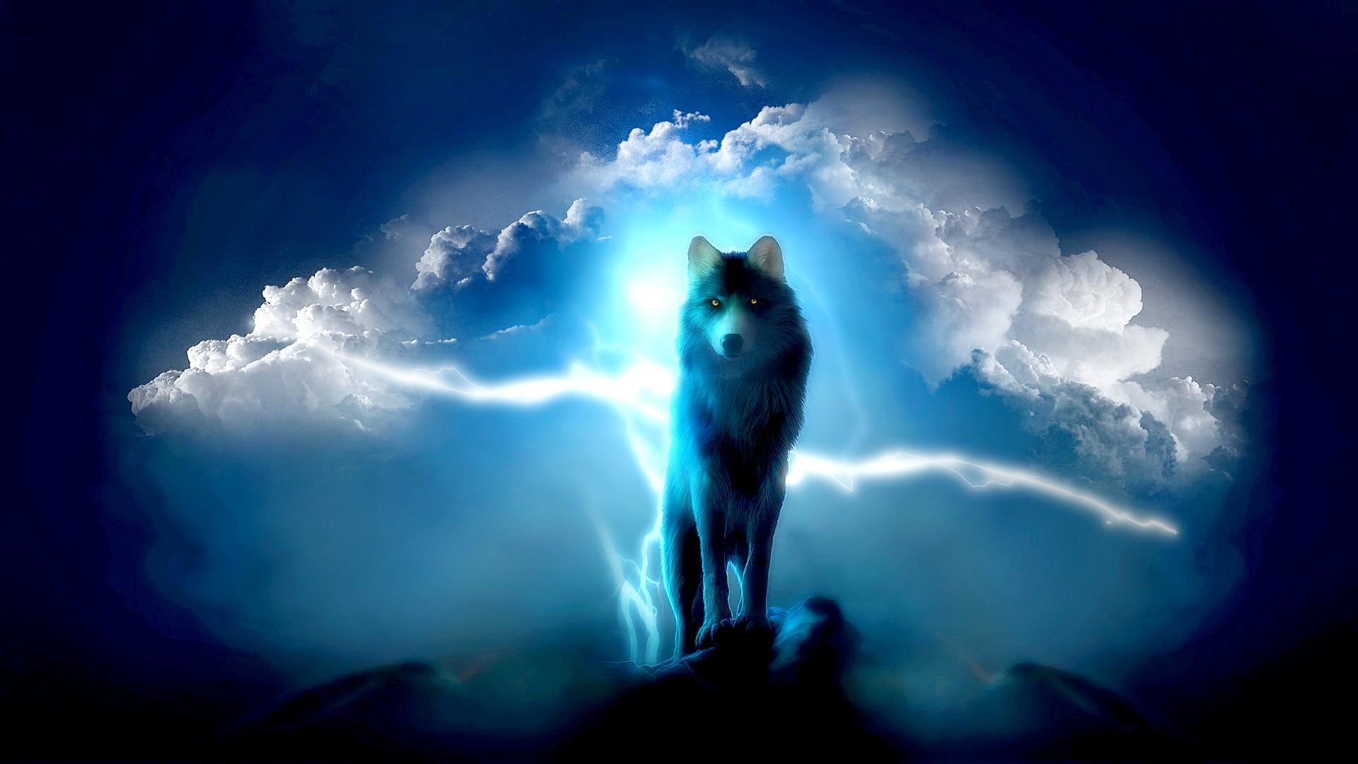 Lupo, Fulmini, Nuvole, Blu, Full HD, wallpaper per PC
