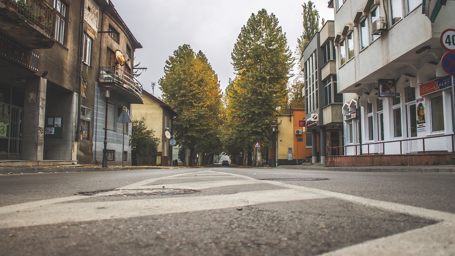 Strada, Incrocio, Alberi, Prospettiva bassa, Full HD, wallpaper per PC