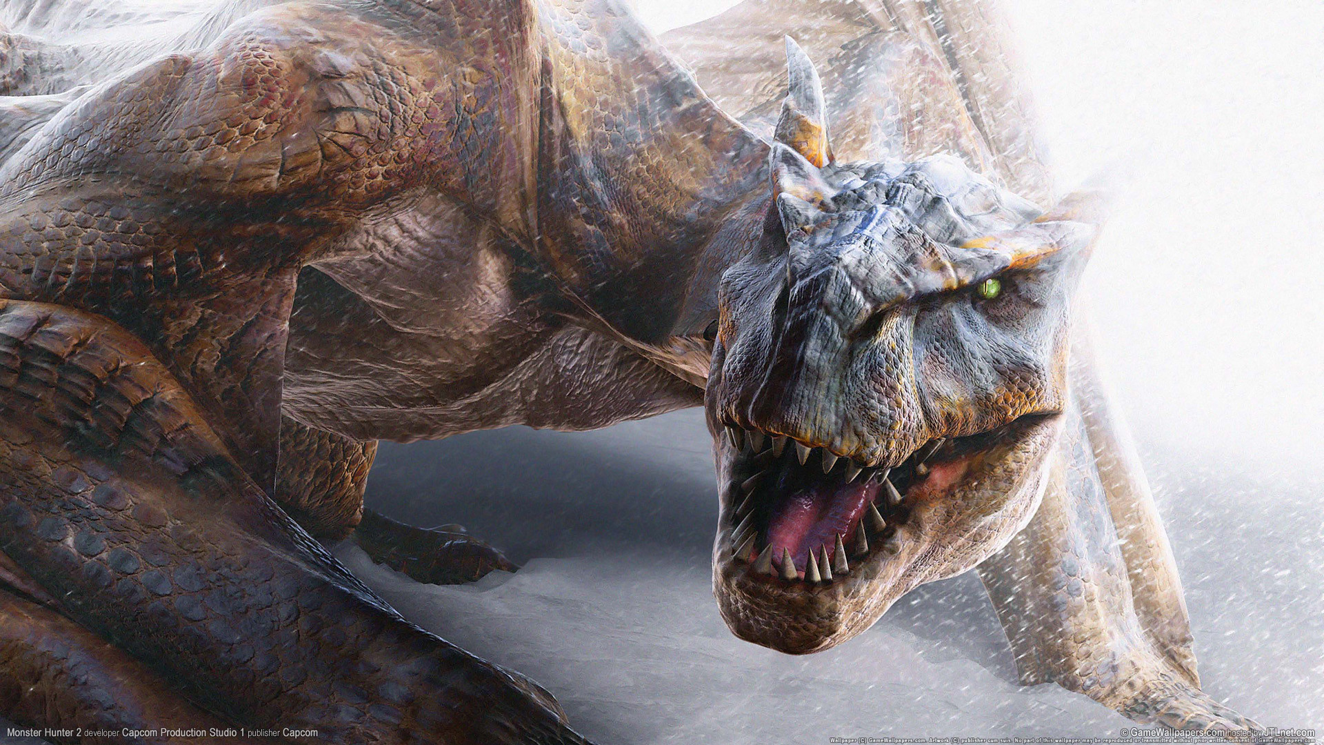 Tigrex, Monster Hunter, Neve, Primo piano, Full HD, wallpaper per PC