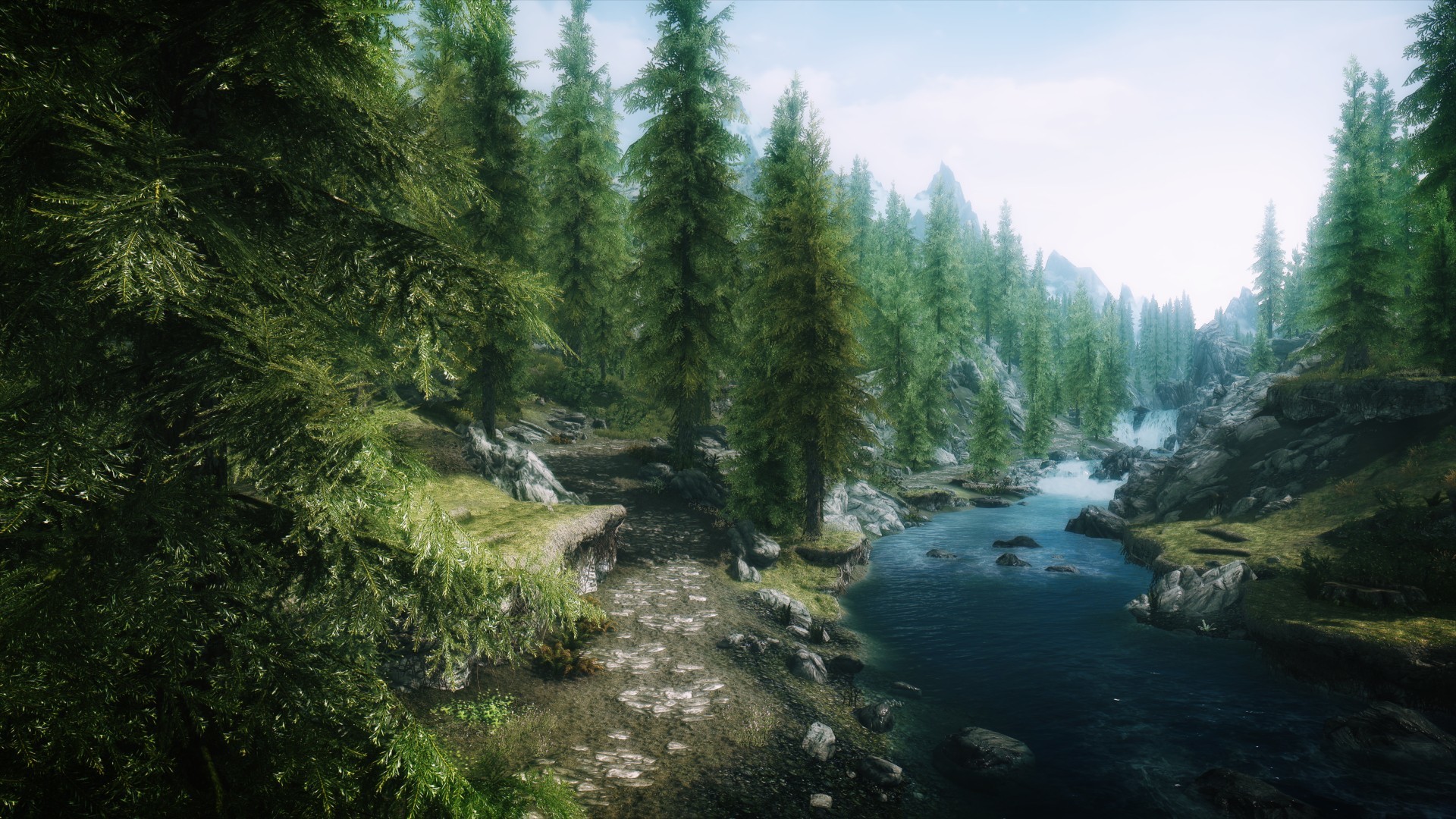 The Elder Scrolls V: Skyrim, Fiume, Foresta di pini, Paesaggio, Full HD, sfondo desktop