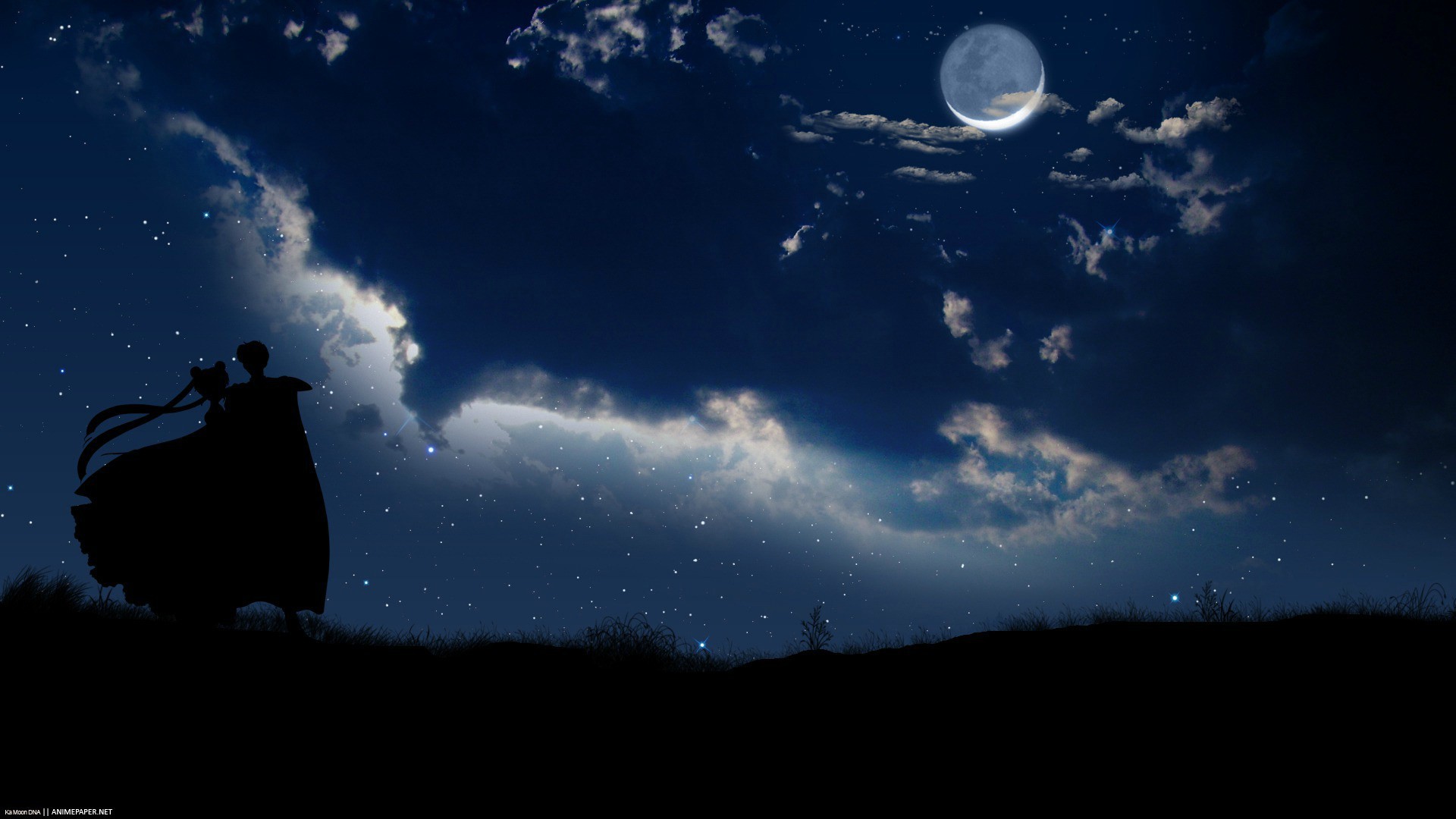 Sailor Moon, Tuxedo Mask, Silhouette, Cielo notturno, Luna, 1920x1080, wallpaper desktop