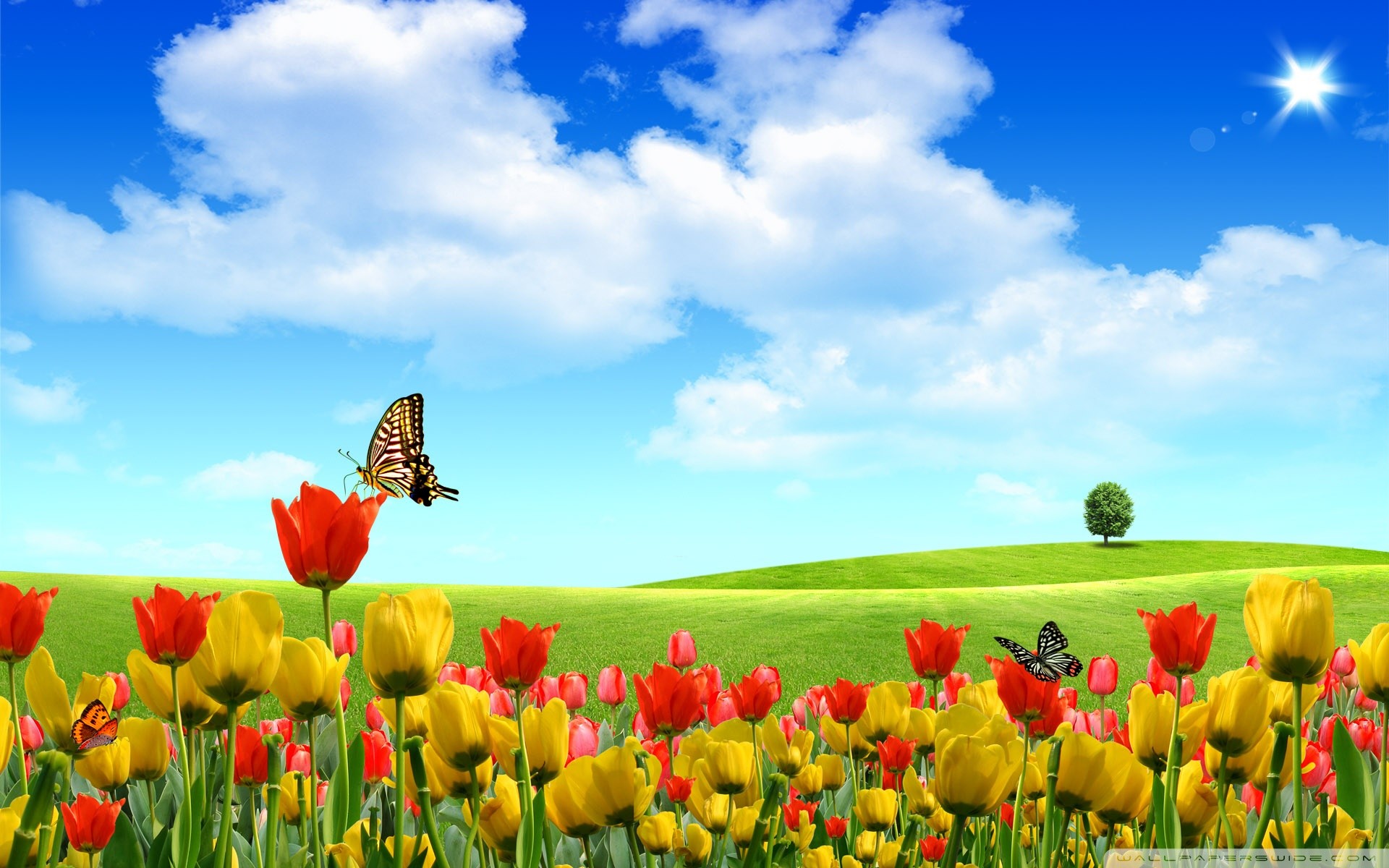 Tulipani, Farfalla, Colline verdi, Cielo azzurro, Illustrazione, sfondo MacBook Air