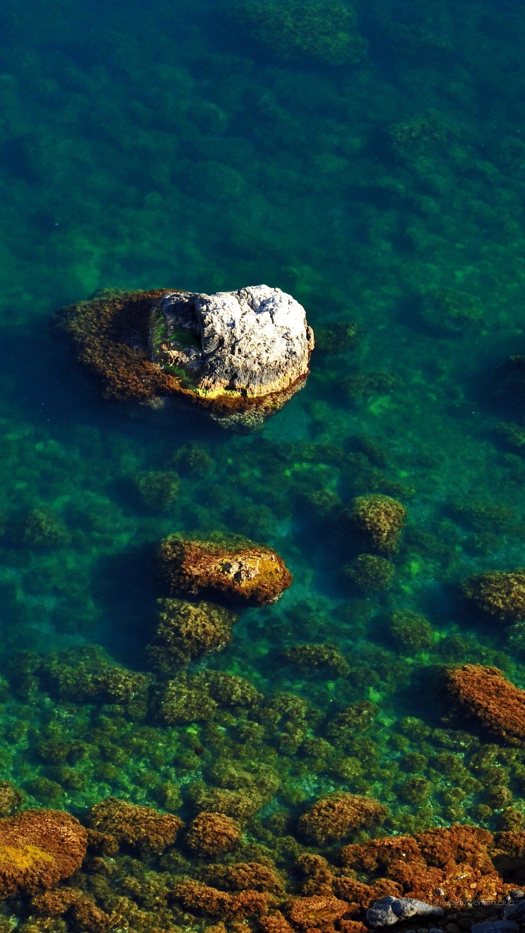 Acqua limpida, Rocce, Alghe, Vista dall'alto, Full HD, wallpaper per smartphone