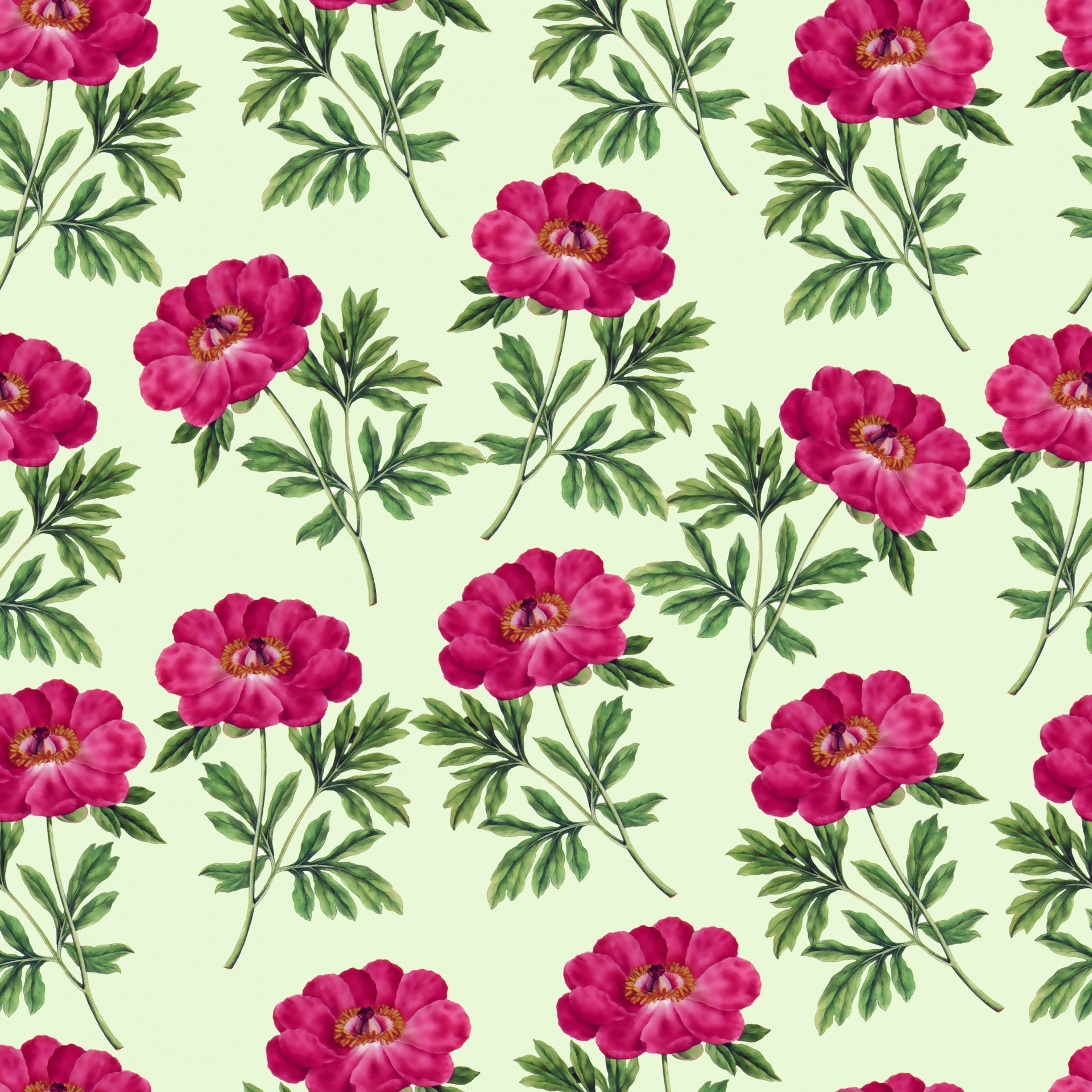 Peonie, Motivo floreale, Fucsia, Sfondo verde chiaro, Full HD, schermata di blocco iPad