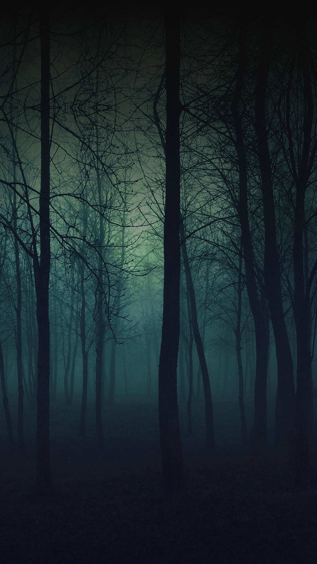 Foresta, Nebbia, Alberi, Buio, sfondo schermata di blocco iPhone 5S