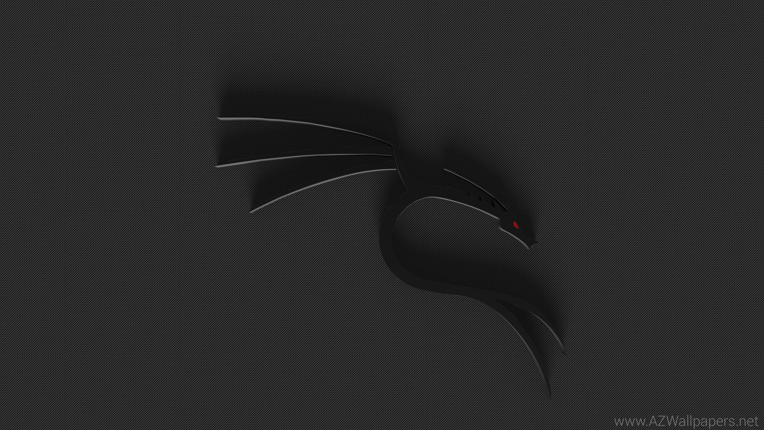 Kali Linux, Logo del drago, Minimalismo, Sfondo nero, 16:9 2K, wallpaper widescreen